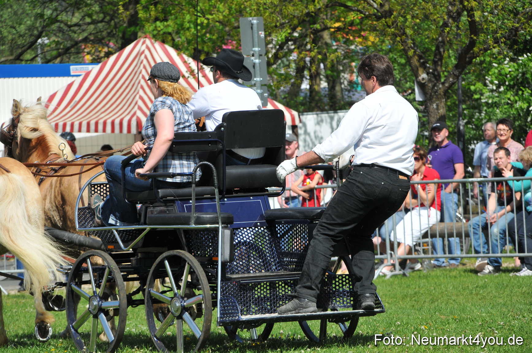 Nordbayerisches Haflingertreffen Neumarkt 010512 0178