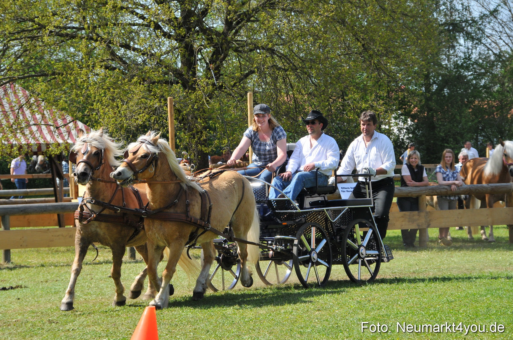 Nordbayerisches Haflingertreffen Neumarkt 010512 0183