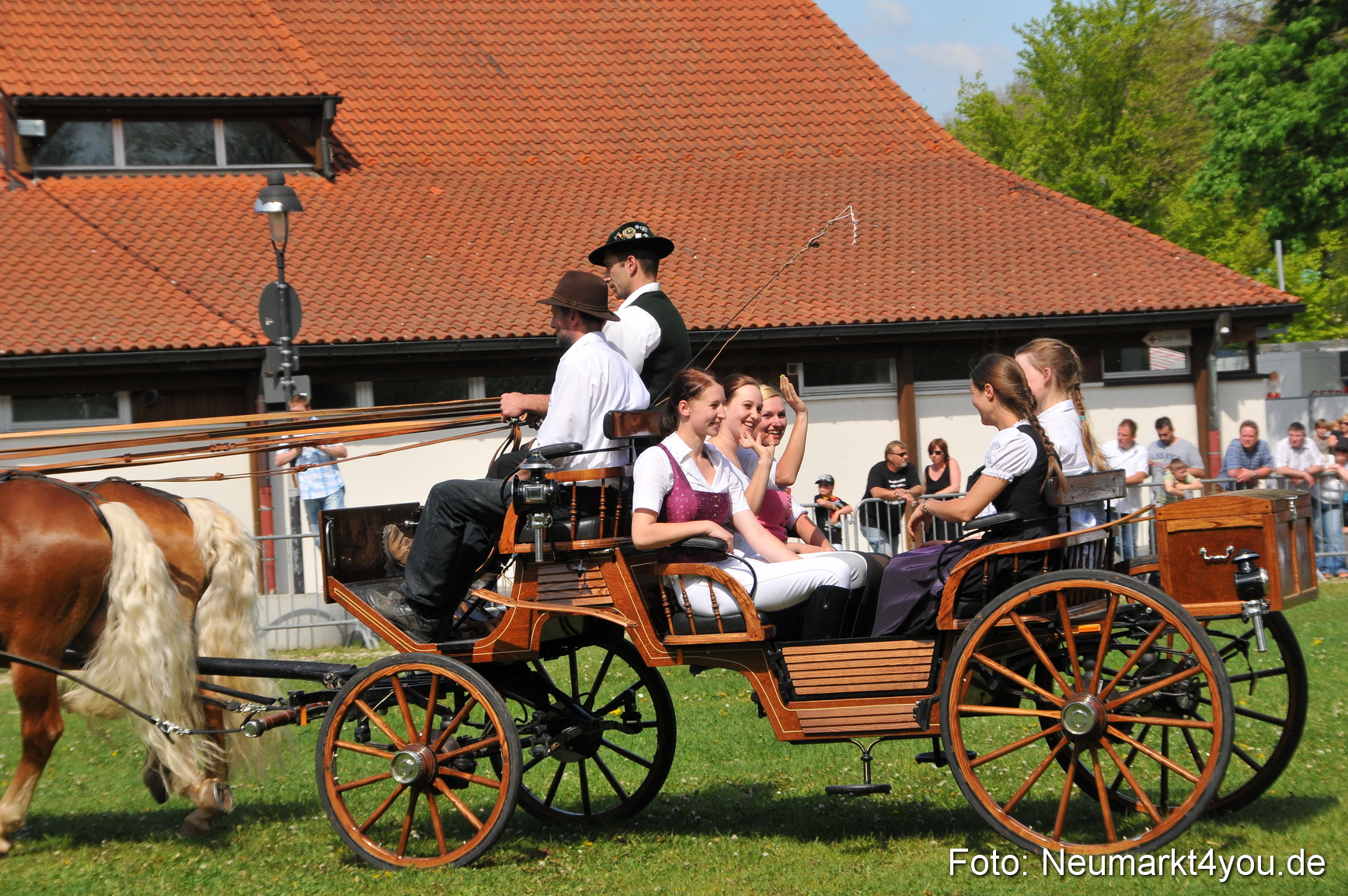 Nordbayerisches Haflingertreffen Neumarkt 010512 0186