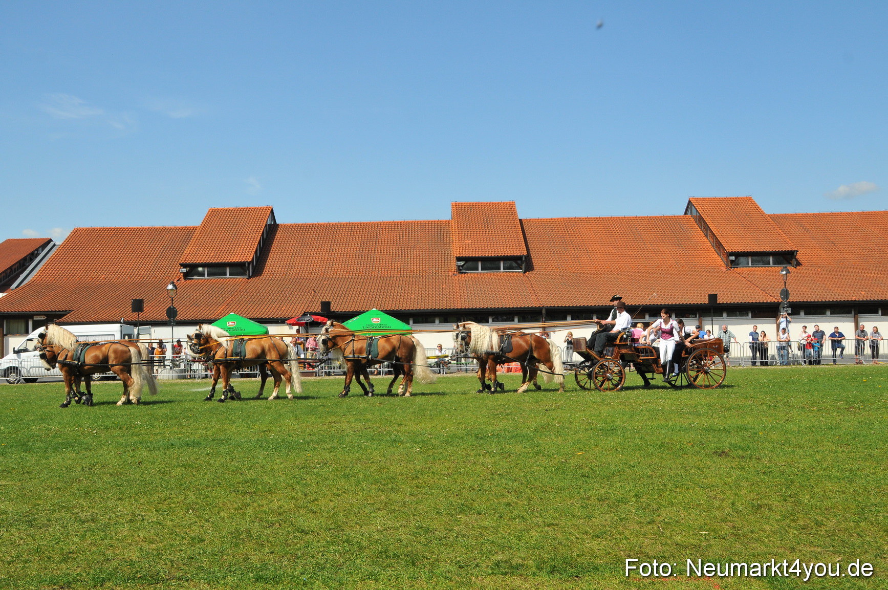Nordbayerisches Haflingertreffen Neumarkt 010512 0191