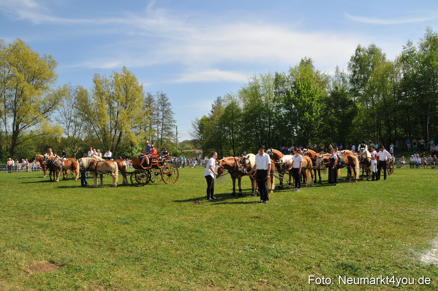 Nordbayerisches Haflingertreffen Neumarkt 010512 0192