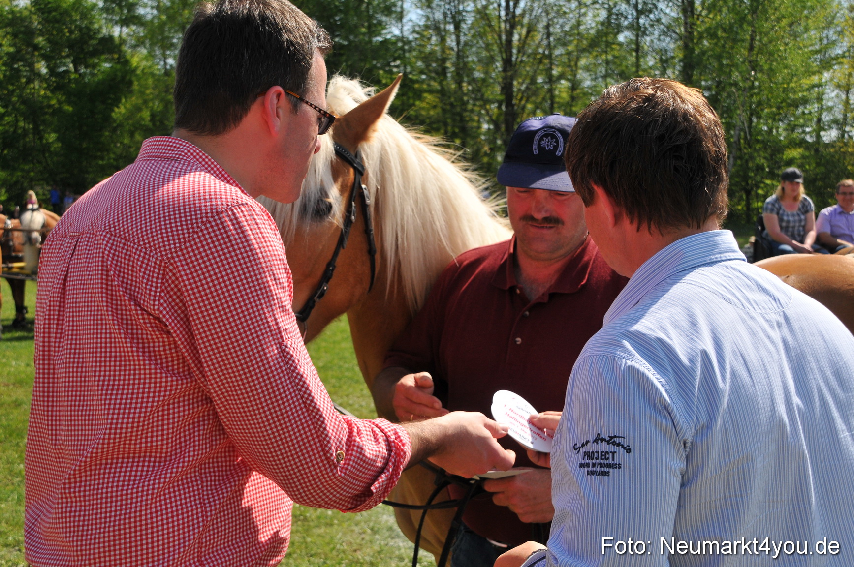 Nordbayerisches Haflingertreffen Neumarkt 010512 0193