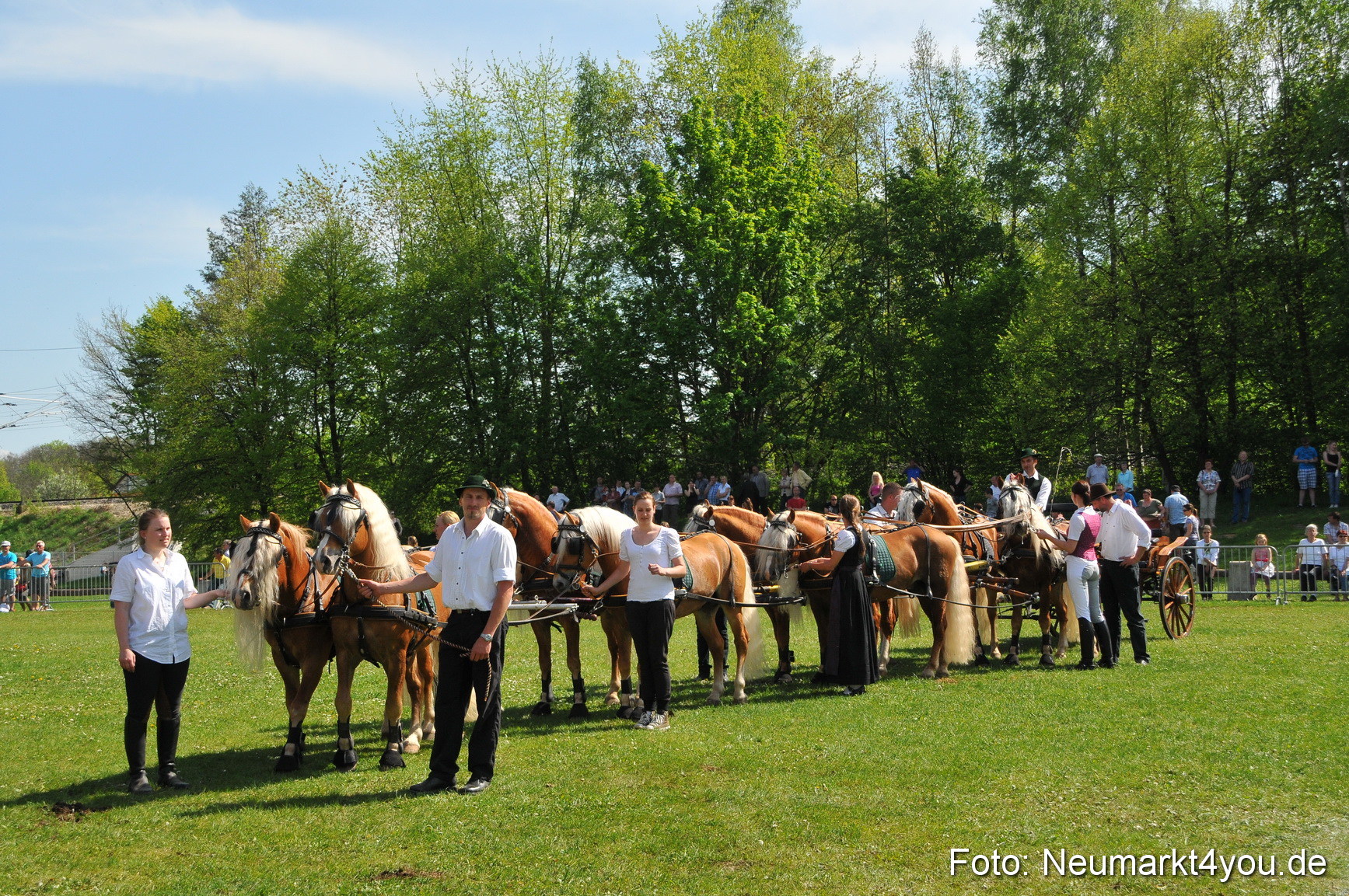 Nordbayerisches Haflingertreffen Neumarkt 010512 0194