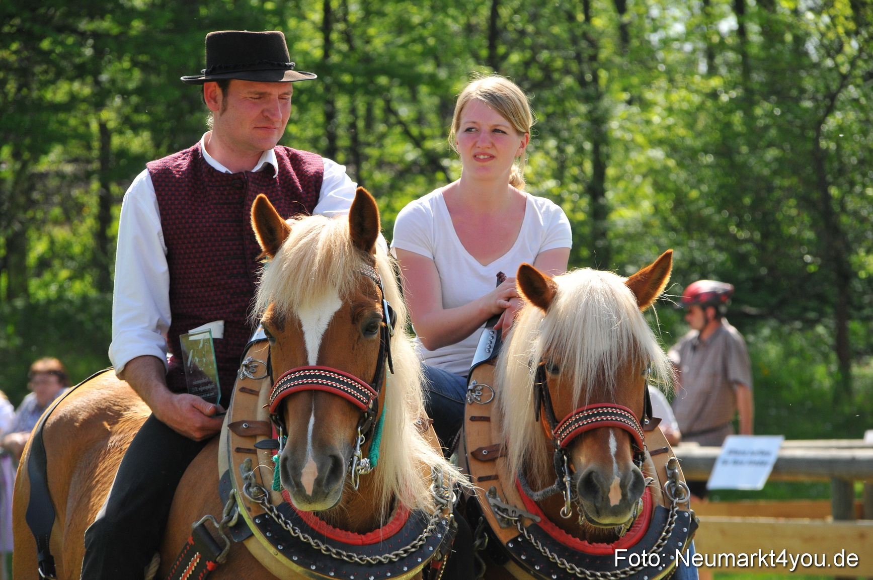Nordbayerisches Haflingertreffen Neumarkt 010512 0195