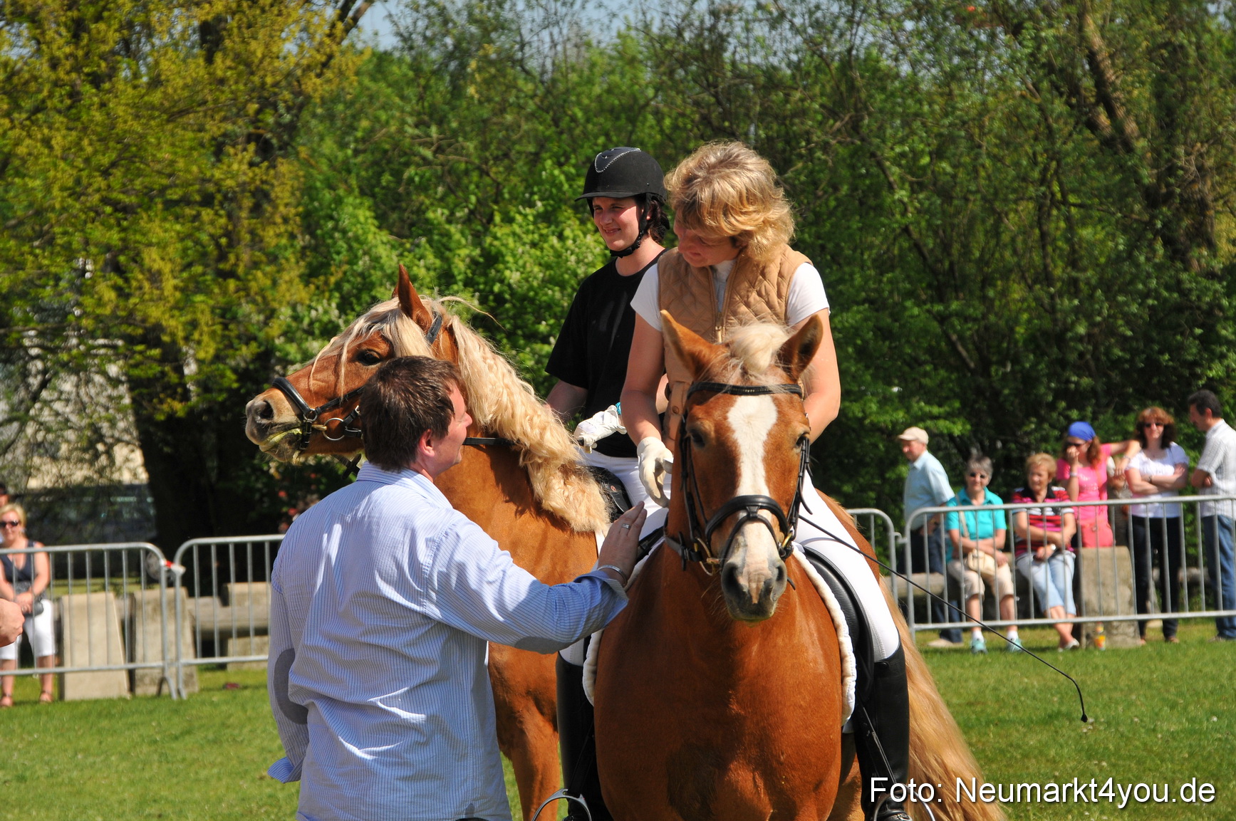 Nordbayerisches Haflingertreffen Neumarkt 010512 0196