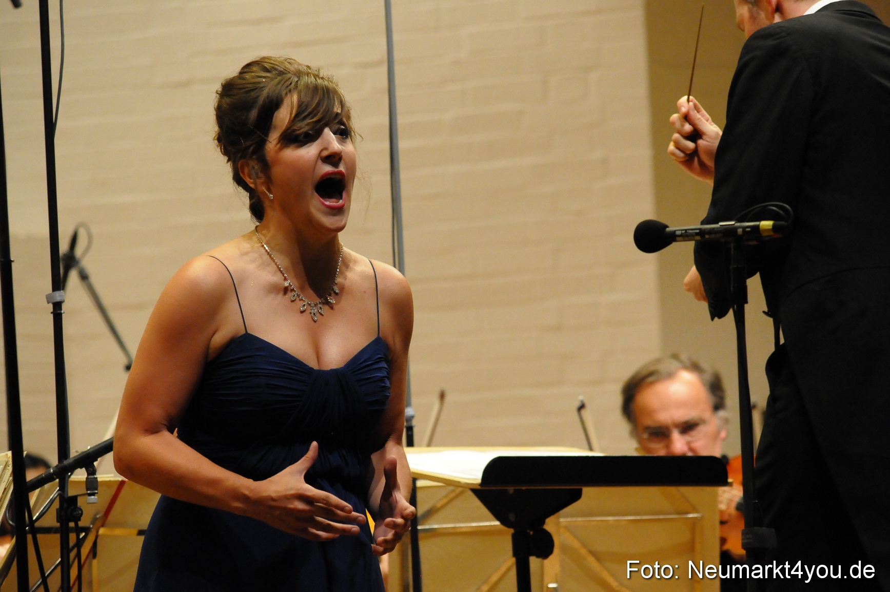 2 IMA Neumarkt 120712 0012