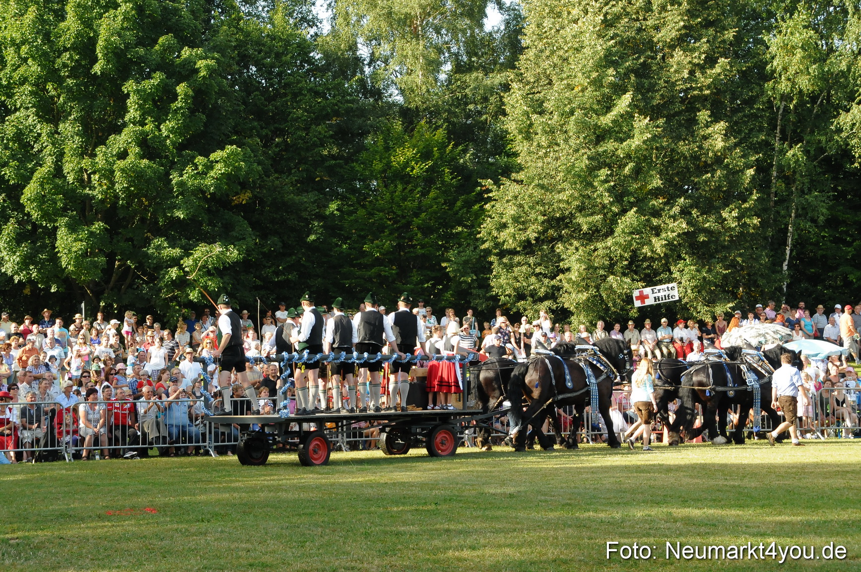 Pferde Fohlenschau 200812 0004