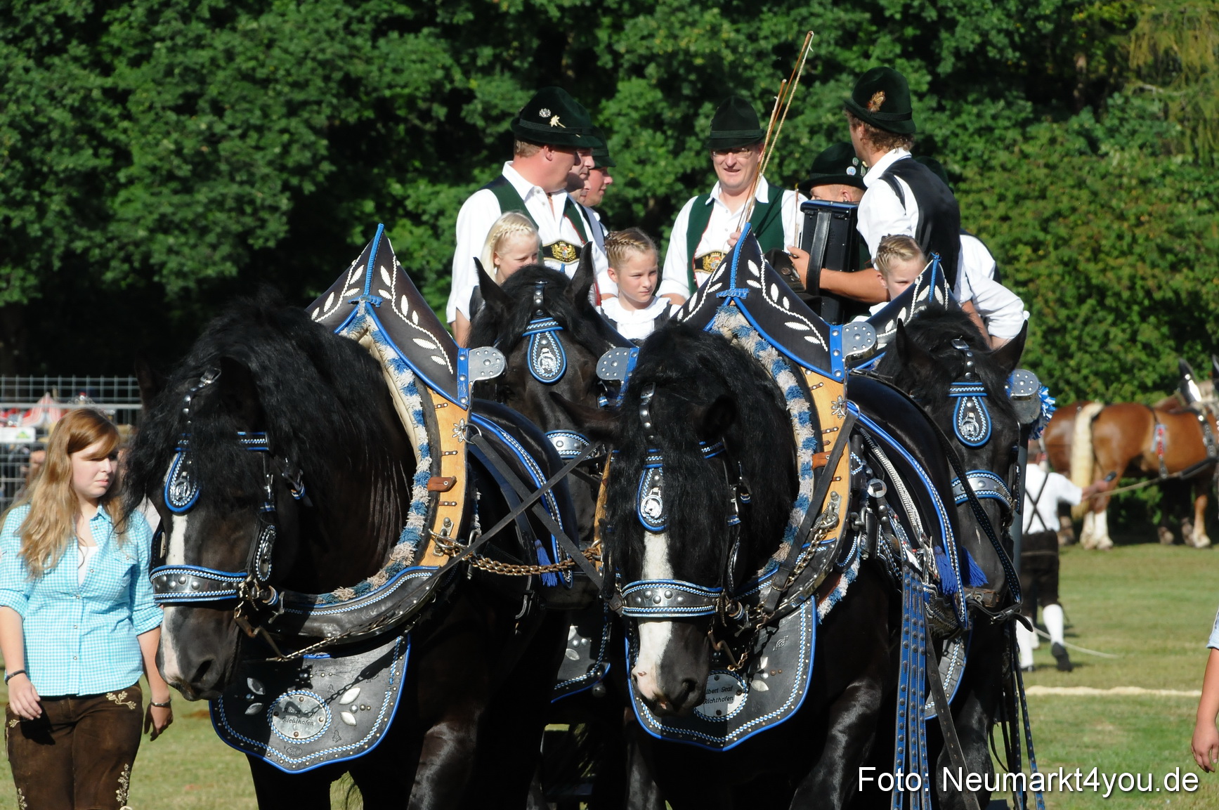 Pferde Fohlenschau 200812 0005
