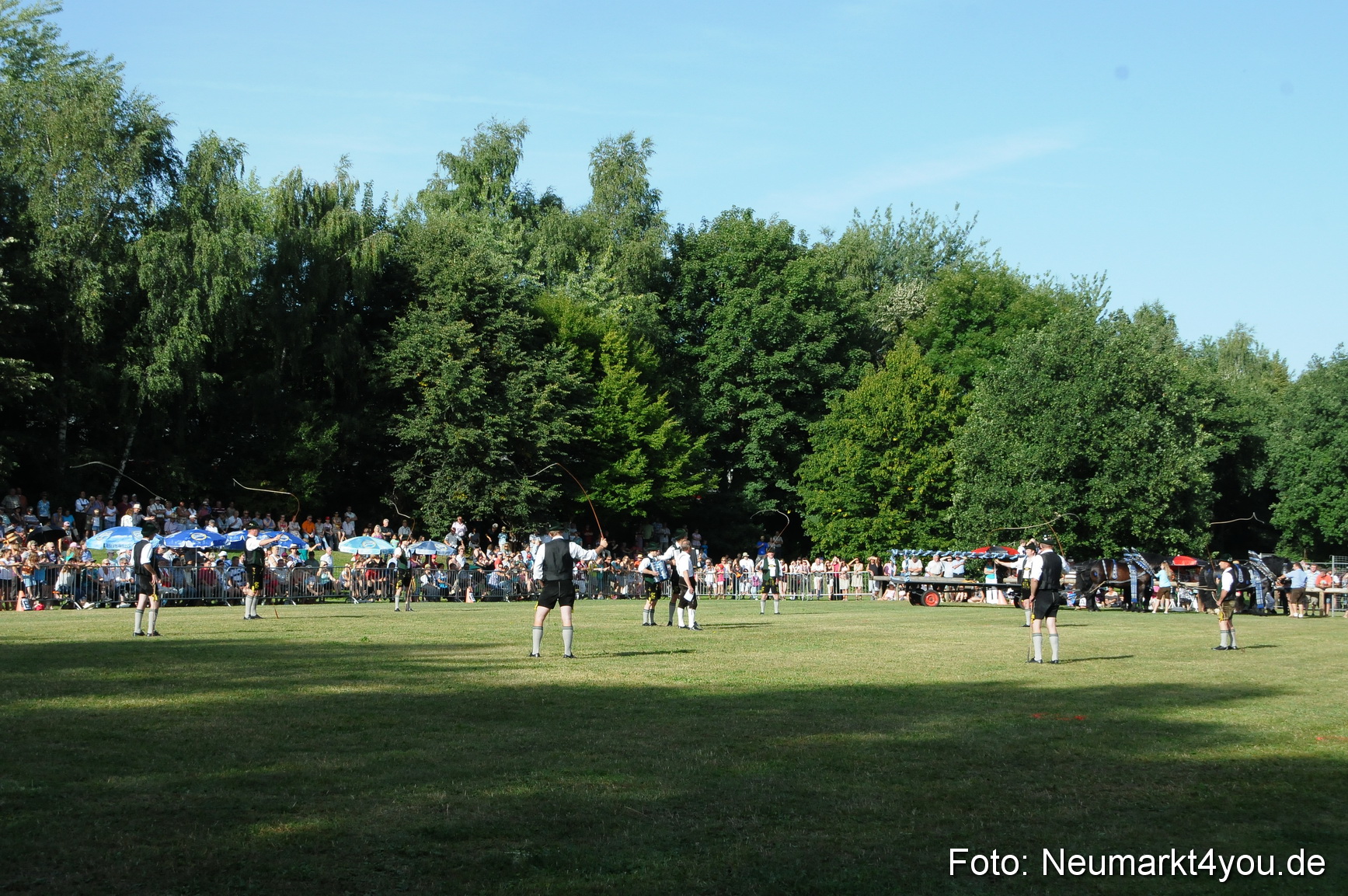 Pferde Fohlenschau 200812 0013