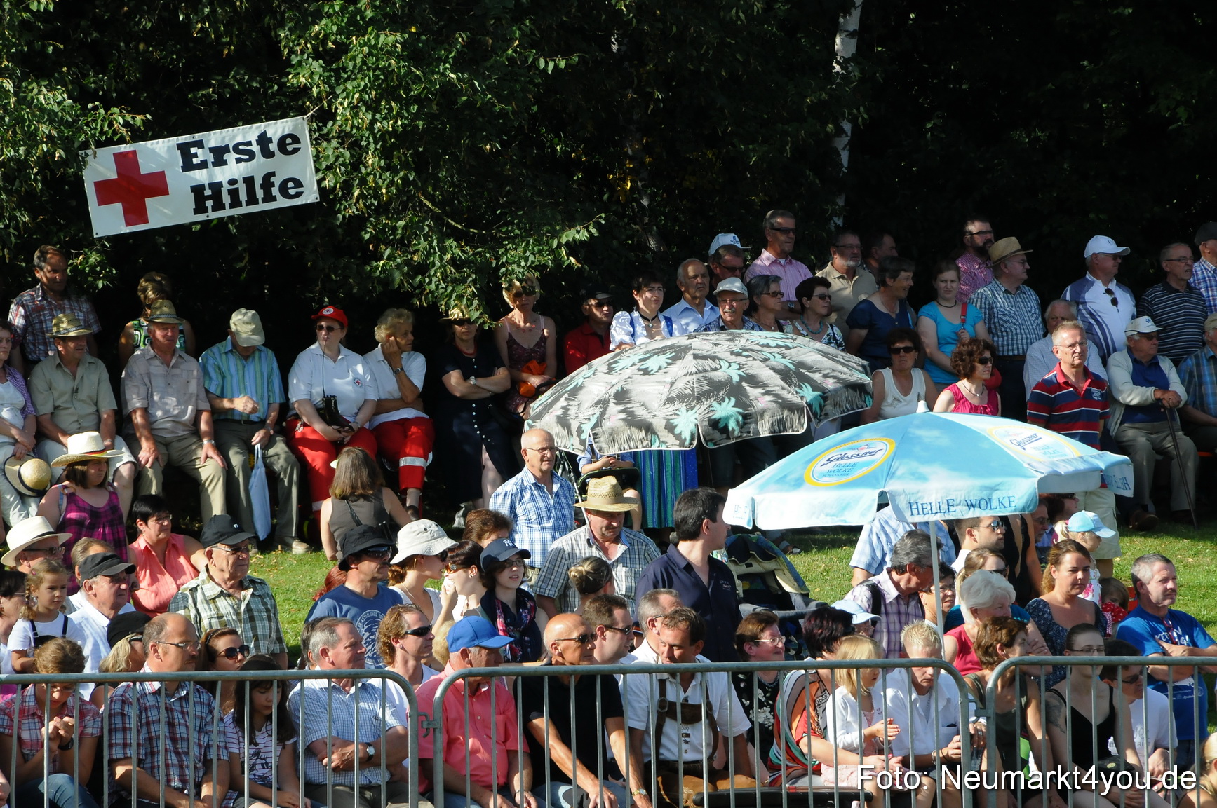 Pferde Fohlenschau 200812 0015