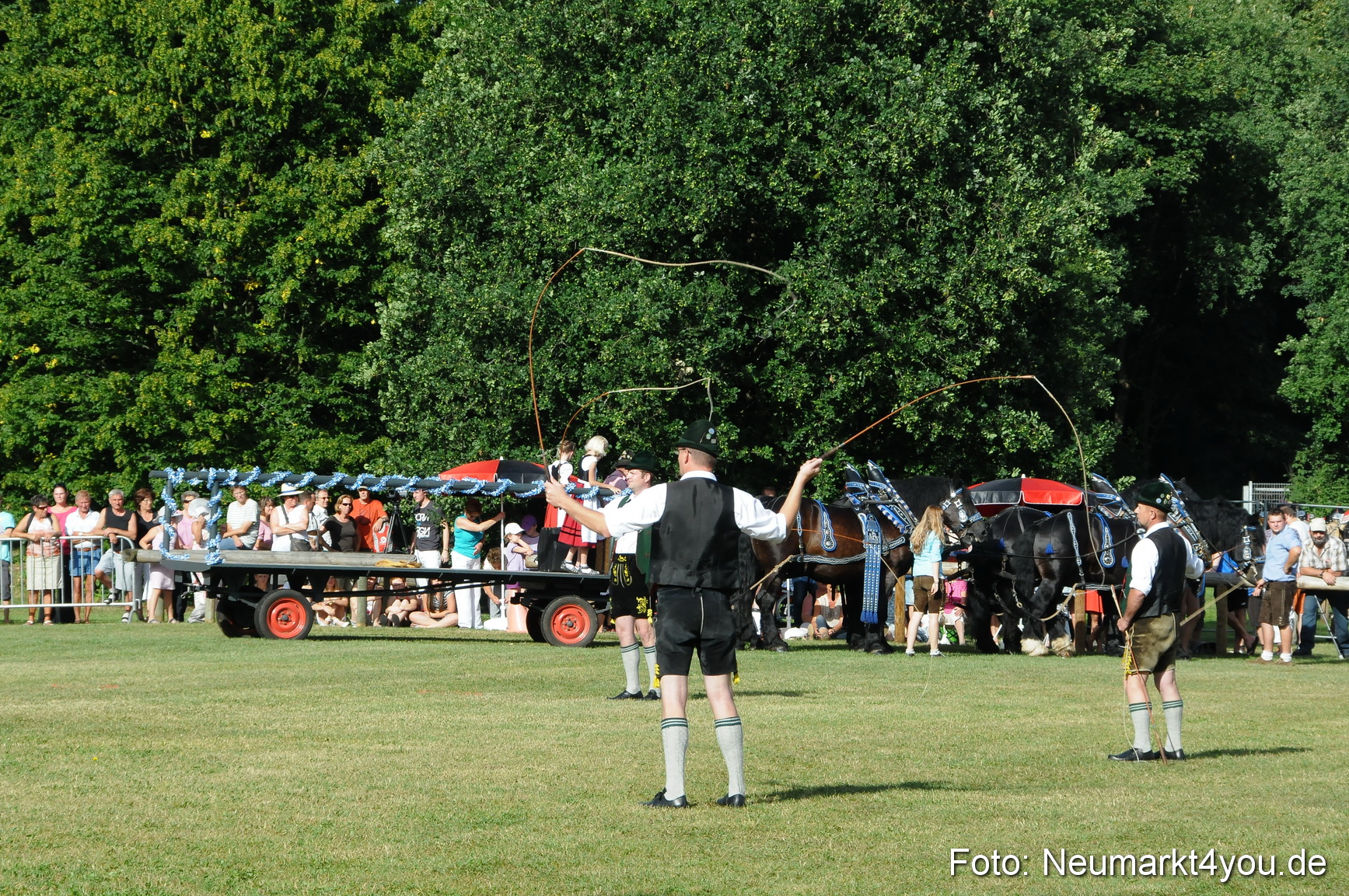 Pferde Fohlenschau 200812 0016