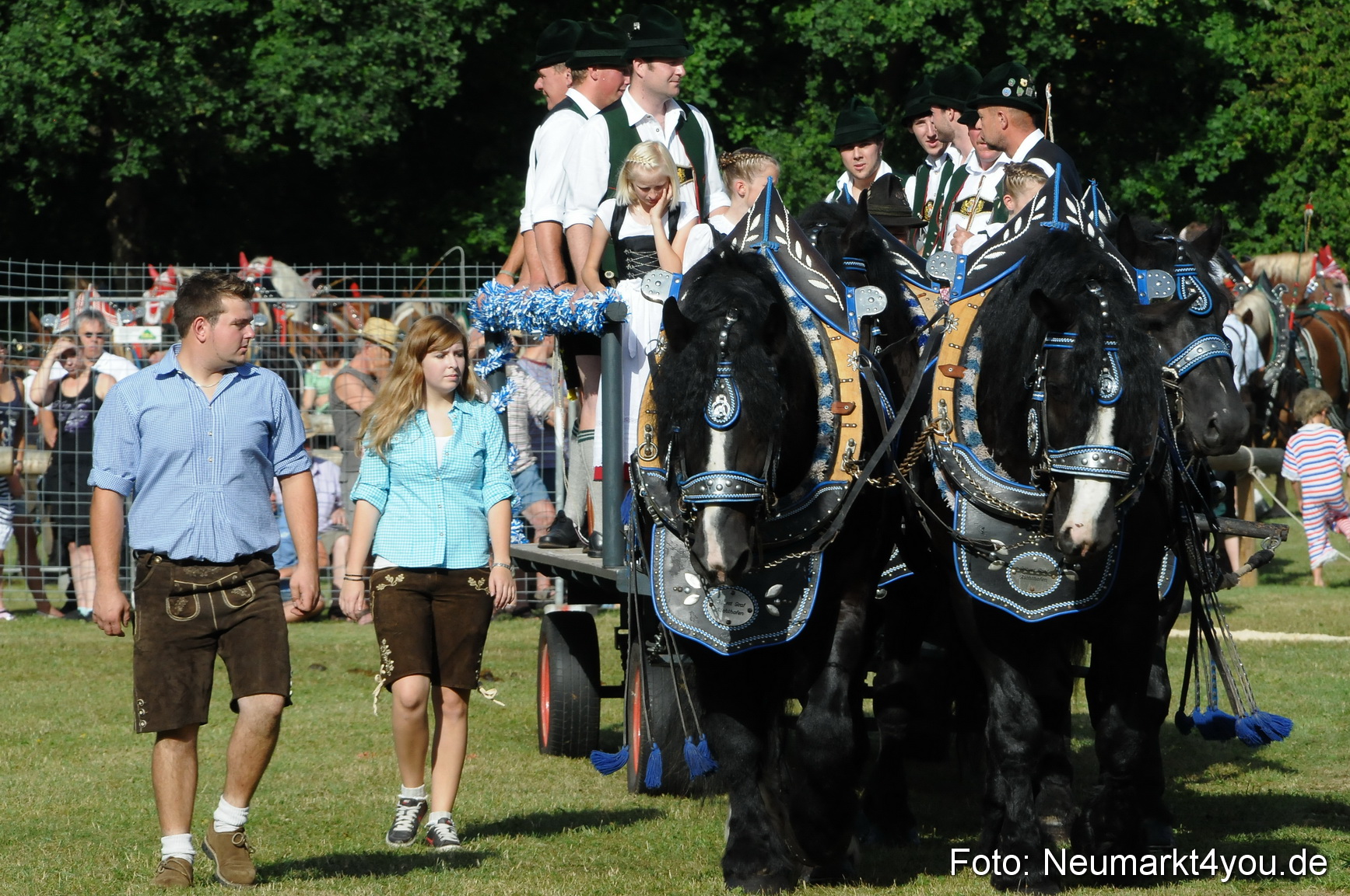 Pferde Fohlenschau 200812 0017