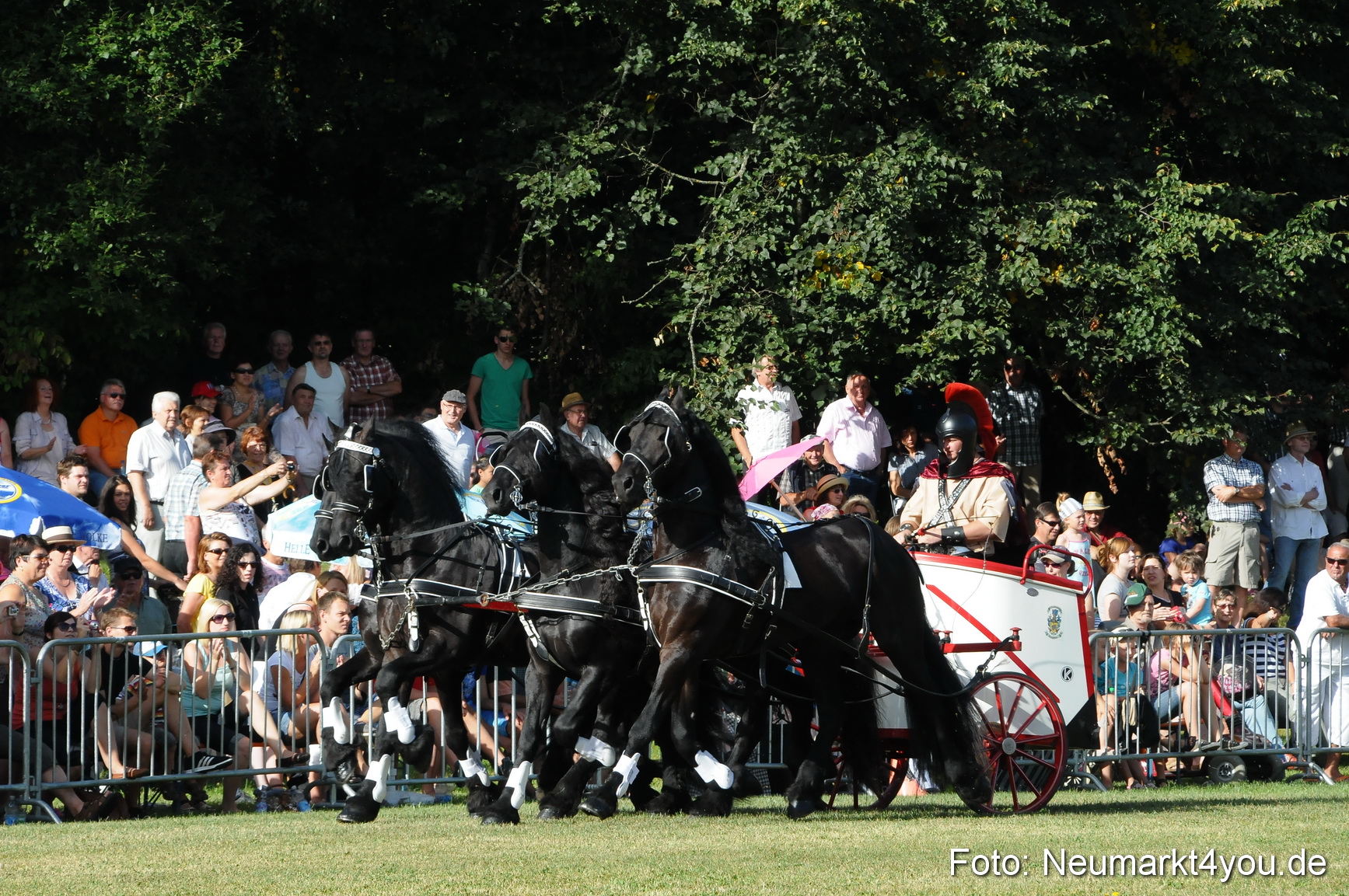 Pferde Fohlenschau 200812 0018