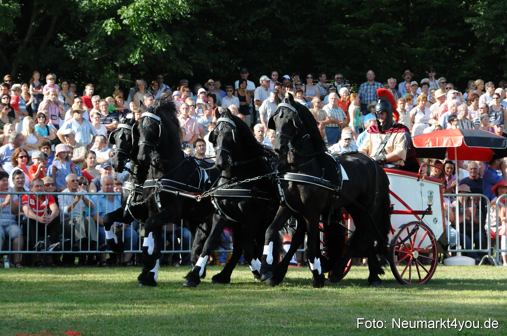 Pferde Fohlenschau 200812 0019