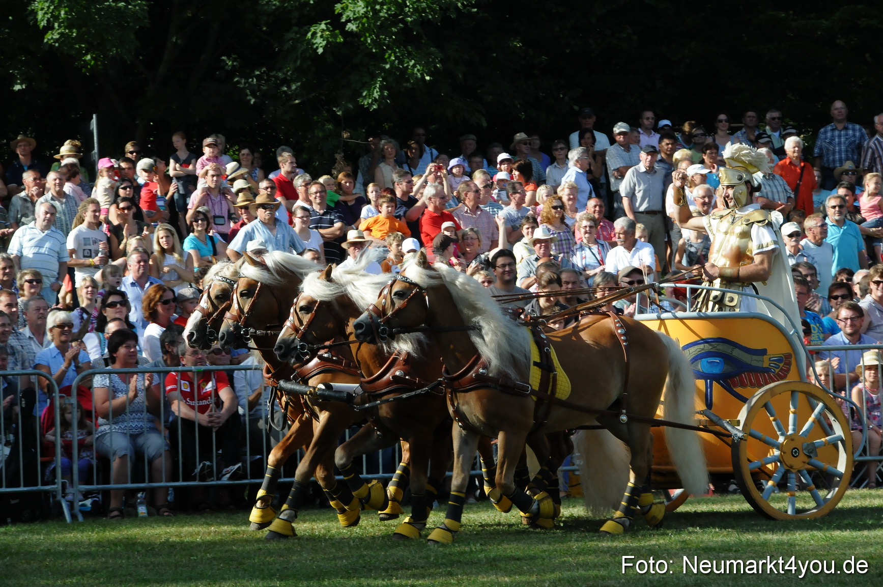 Pferde Fohlenschau 200812 0021