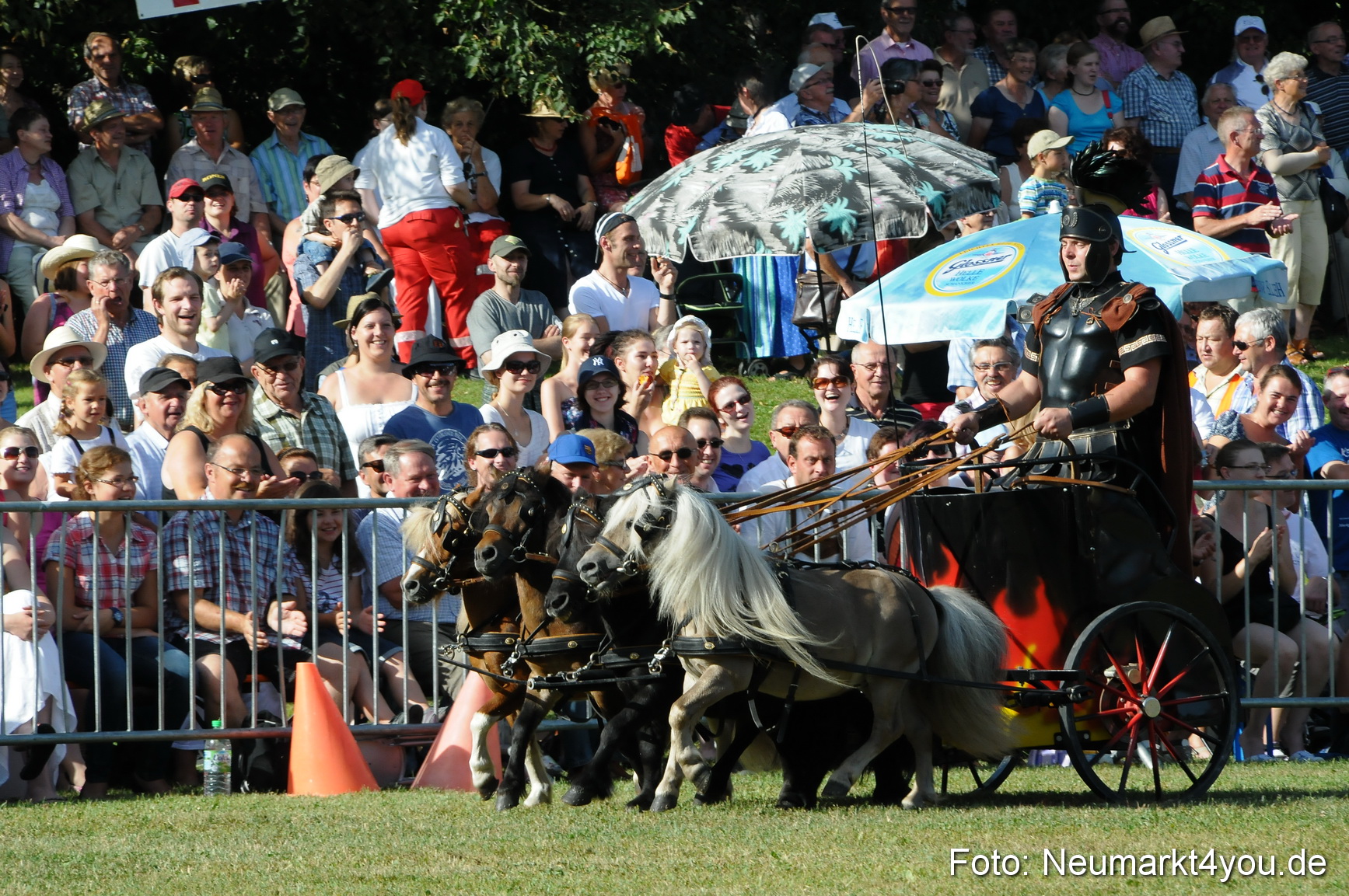Pferde Fohlenschau 200812 0022