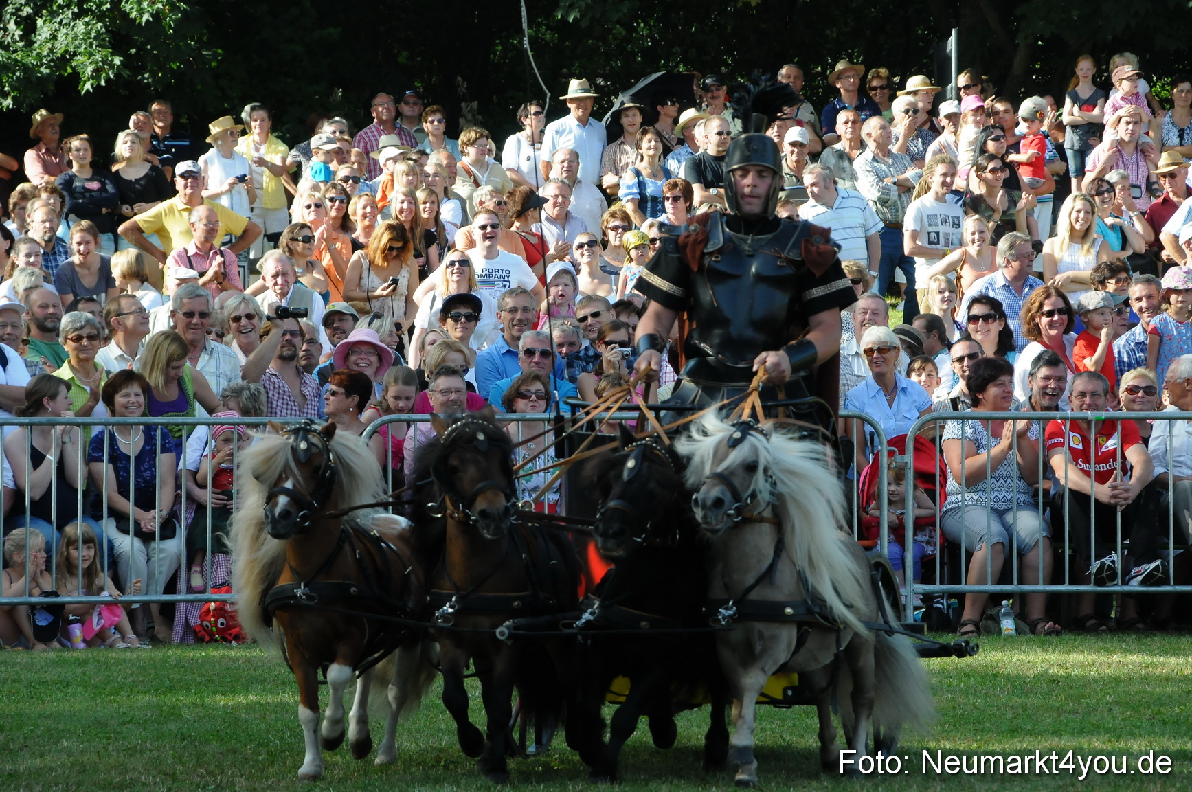 Pferde Fohlenschau 200812 0023