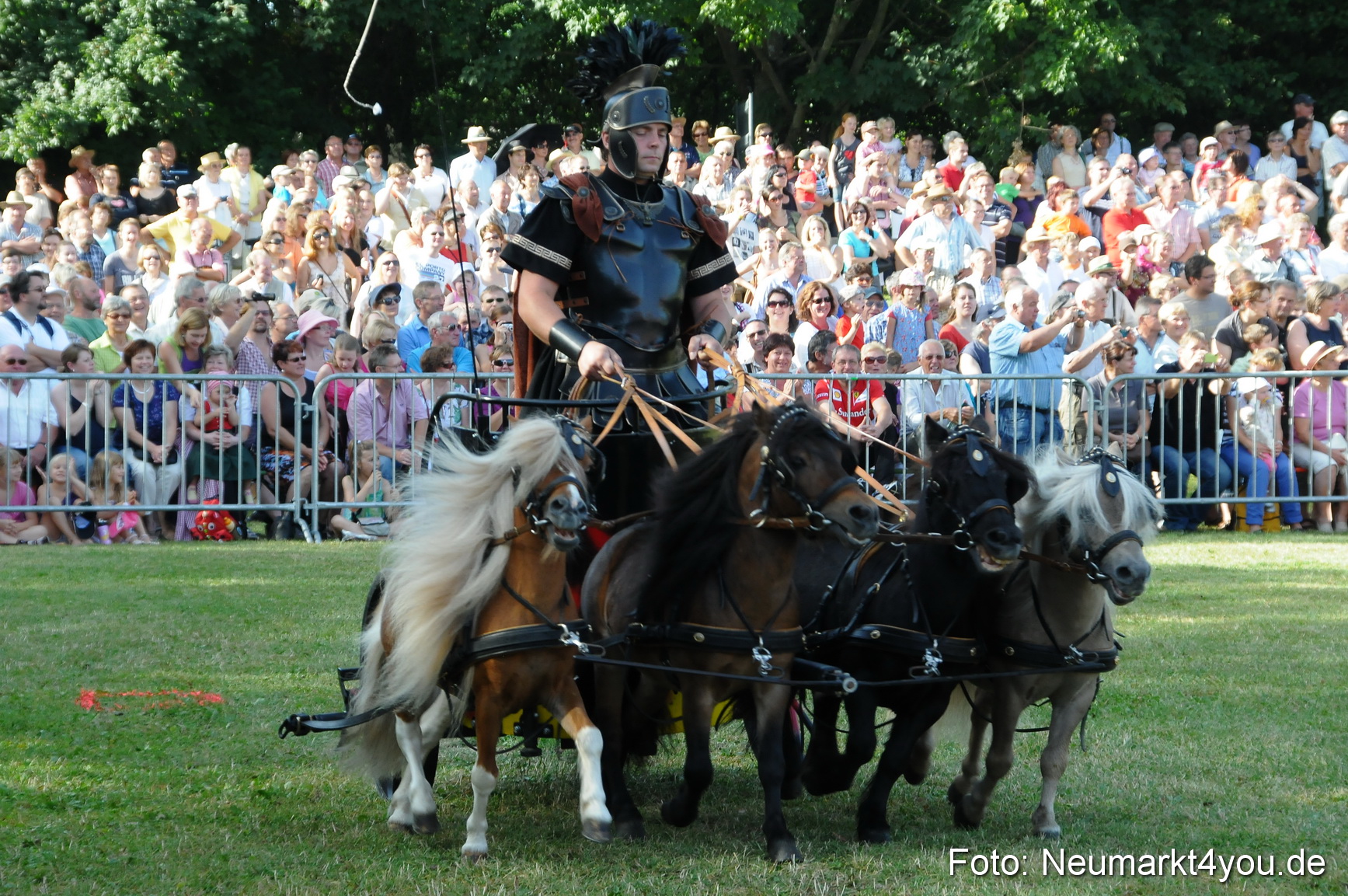 Pferde Fohlenschau 200812 0024
