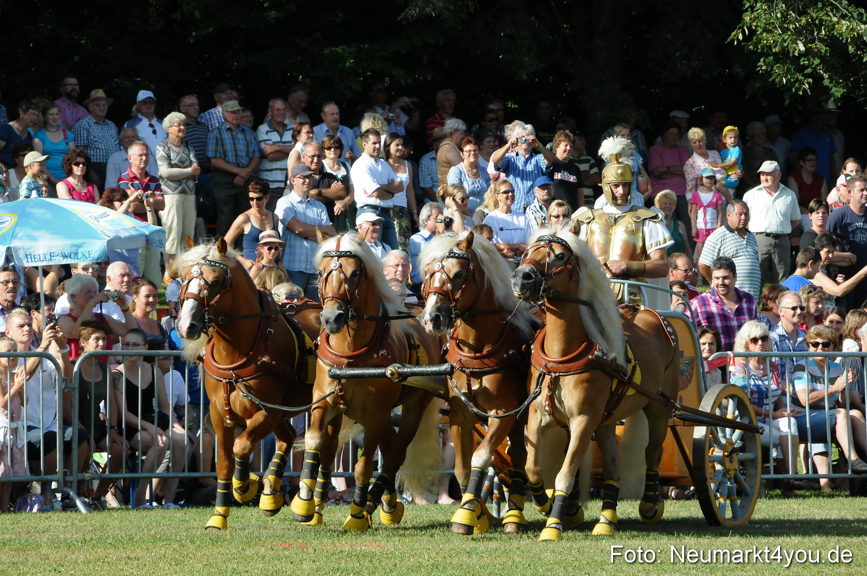 Pferde Fohlenschau 200812 0026