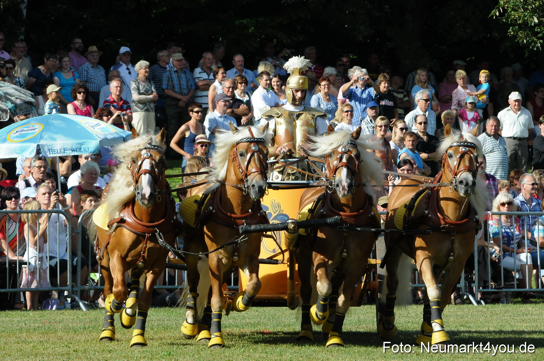 Pferde Fohlenschau 200812 0027