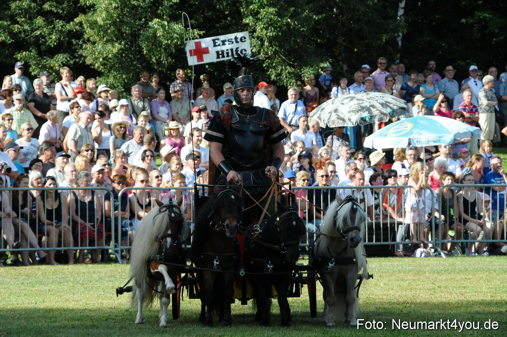 Pferde Fohlenschau 200812 0028