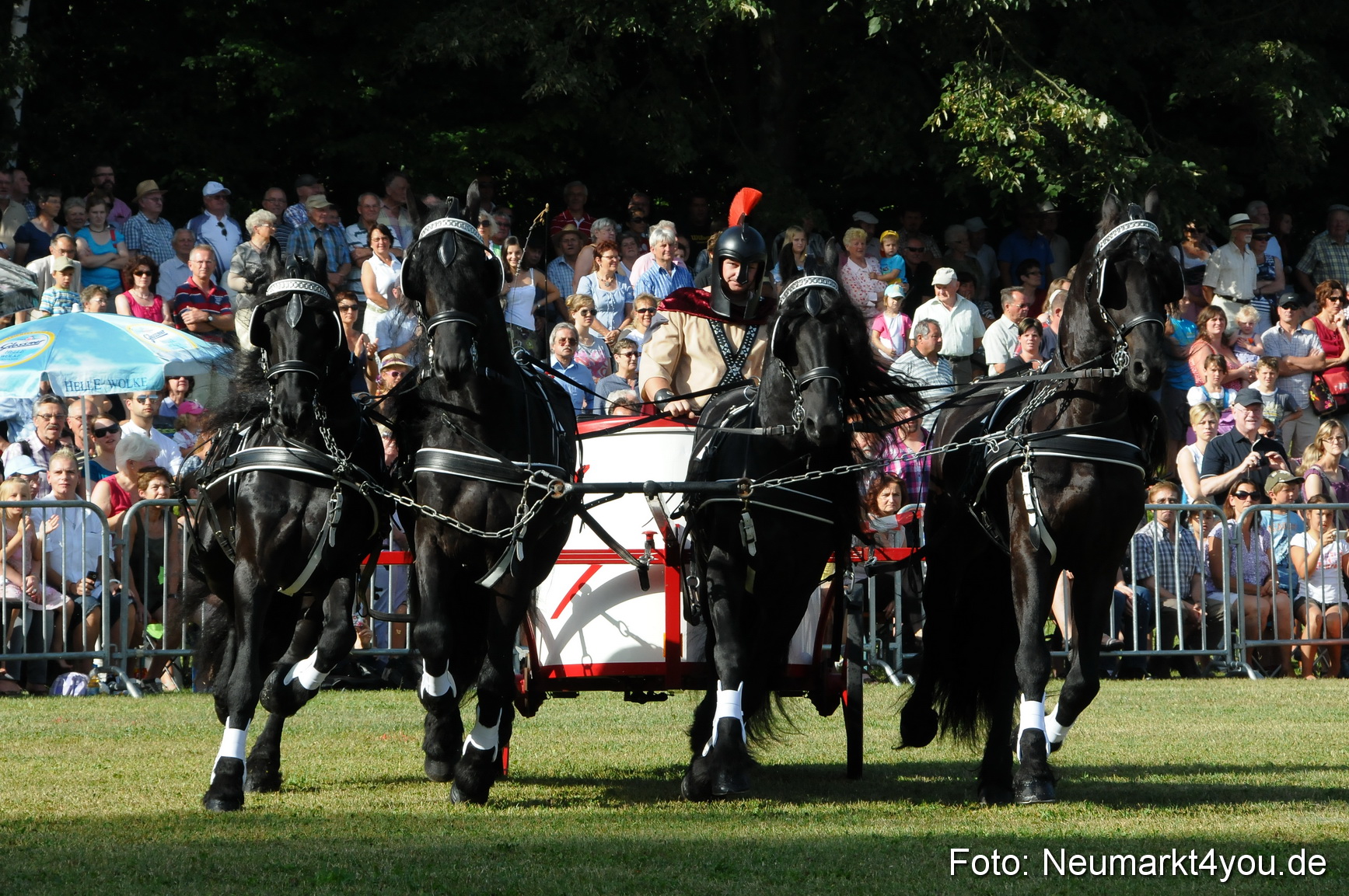 Pferde Fohlenschau 200812 0029