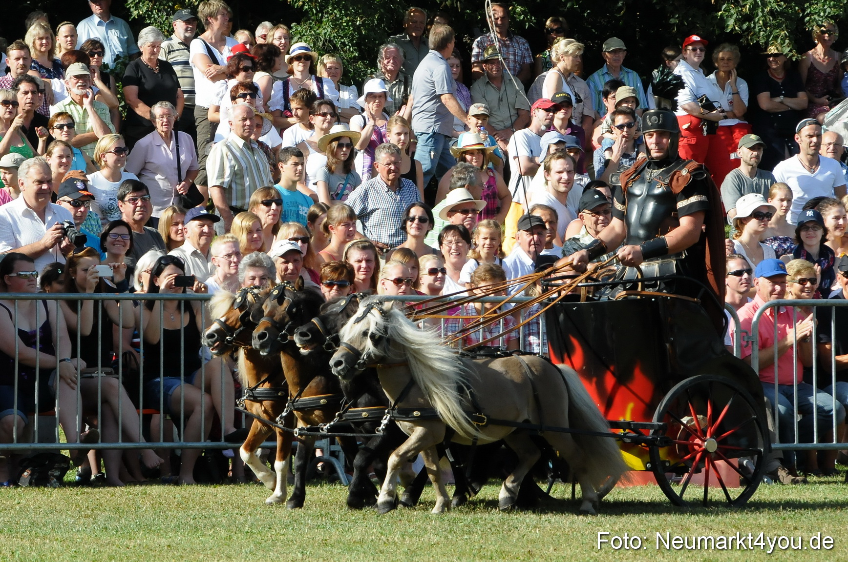 Pferde Fohlenschau 200812 0031