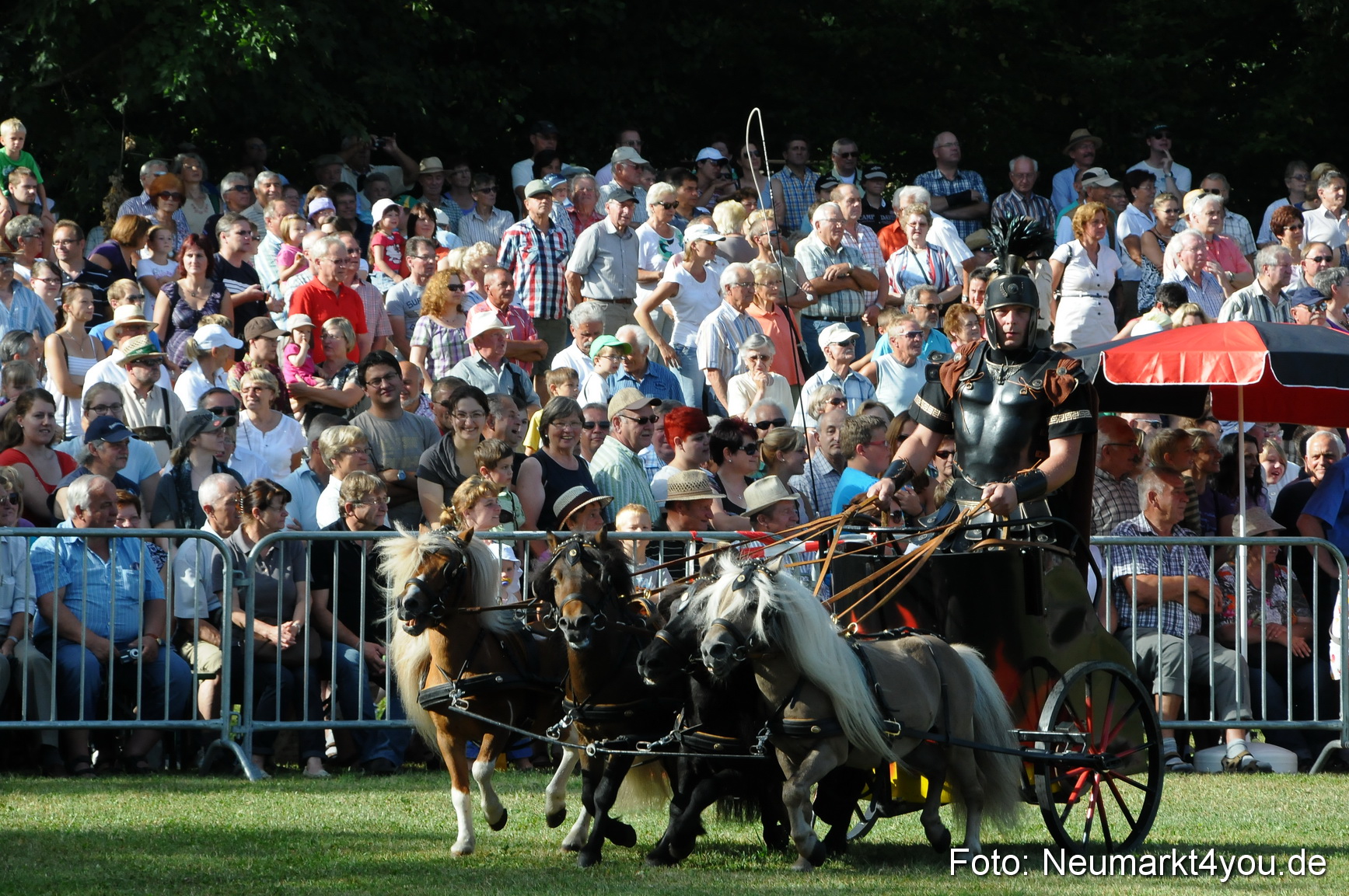 Pferde Fohlenschau 200812 0033