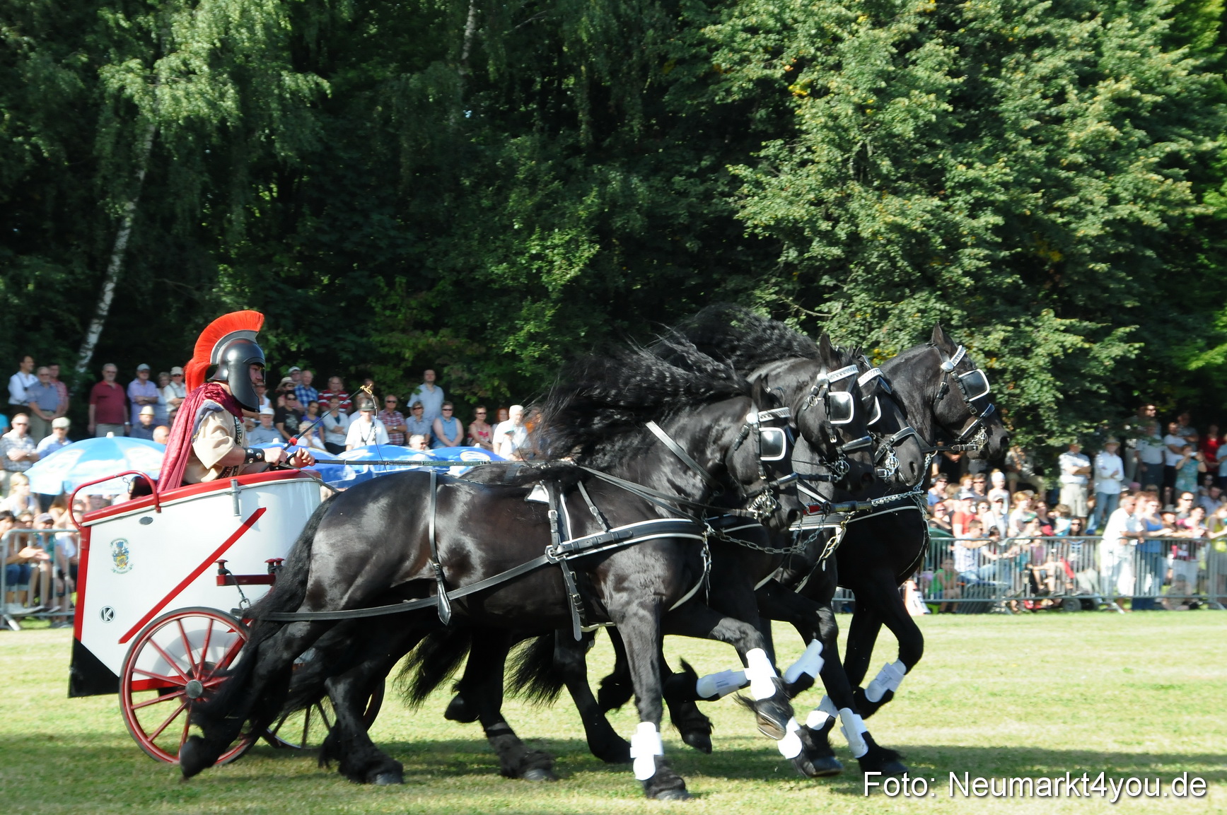 Pferde Fohlenschau 200812 0034