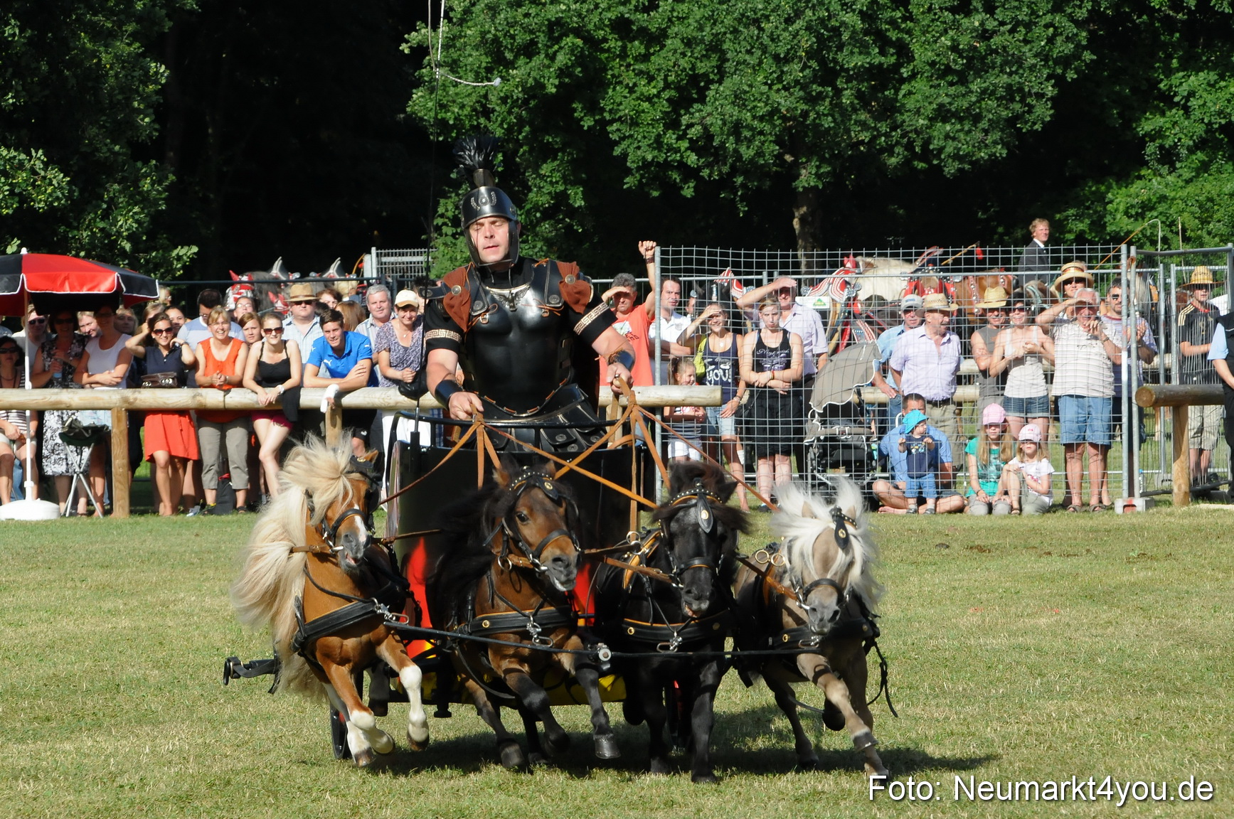 Pferde Fohlenschau 200812 0035