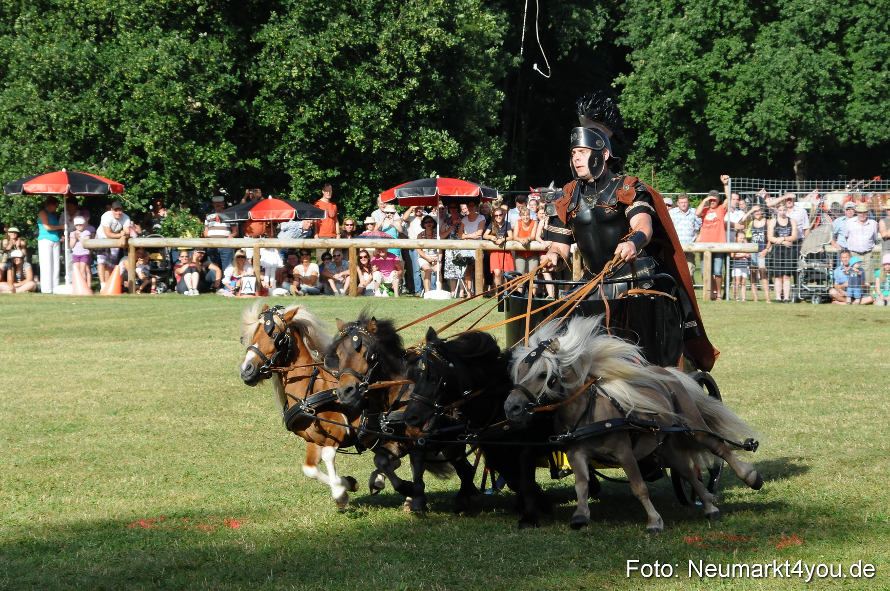 Pferde Fohlenschau 200812 0036