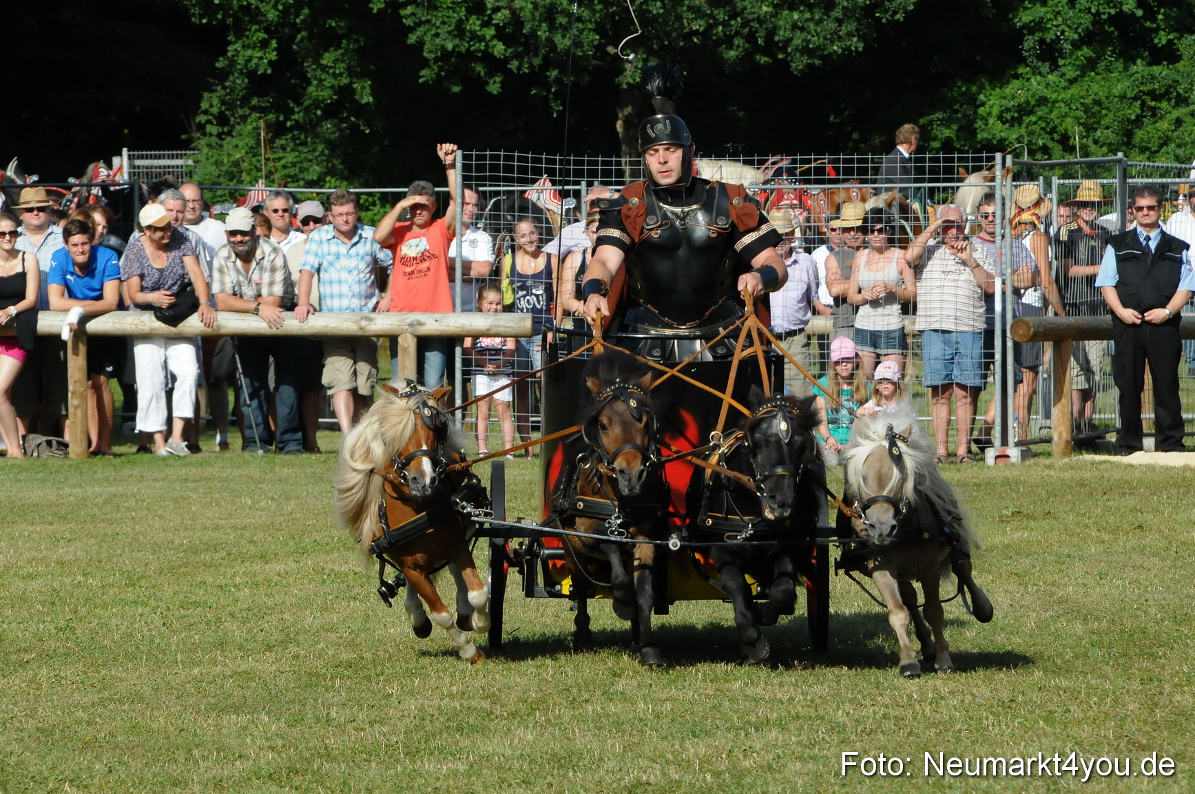 Pferde Fohlenschau 200812 0037