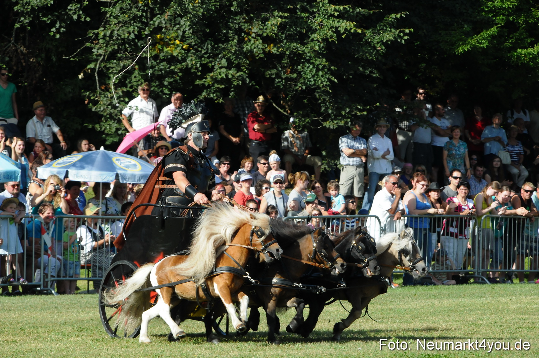 Pferde Fohlenschau 200812 0038