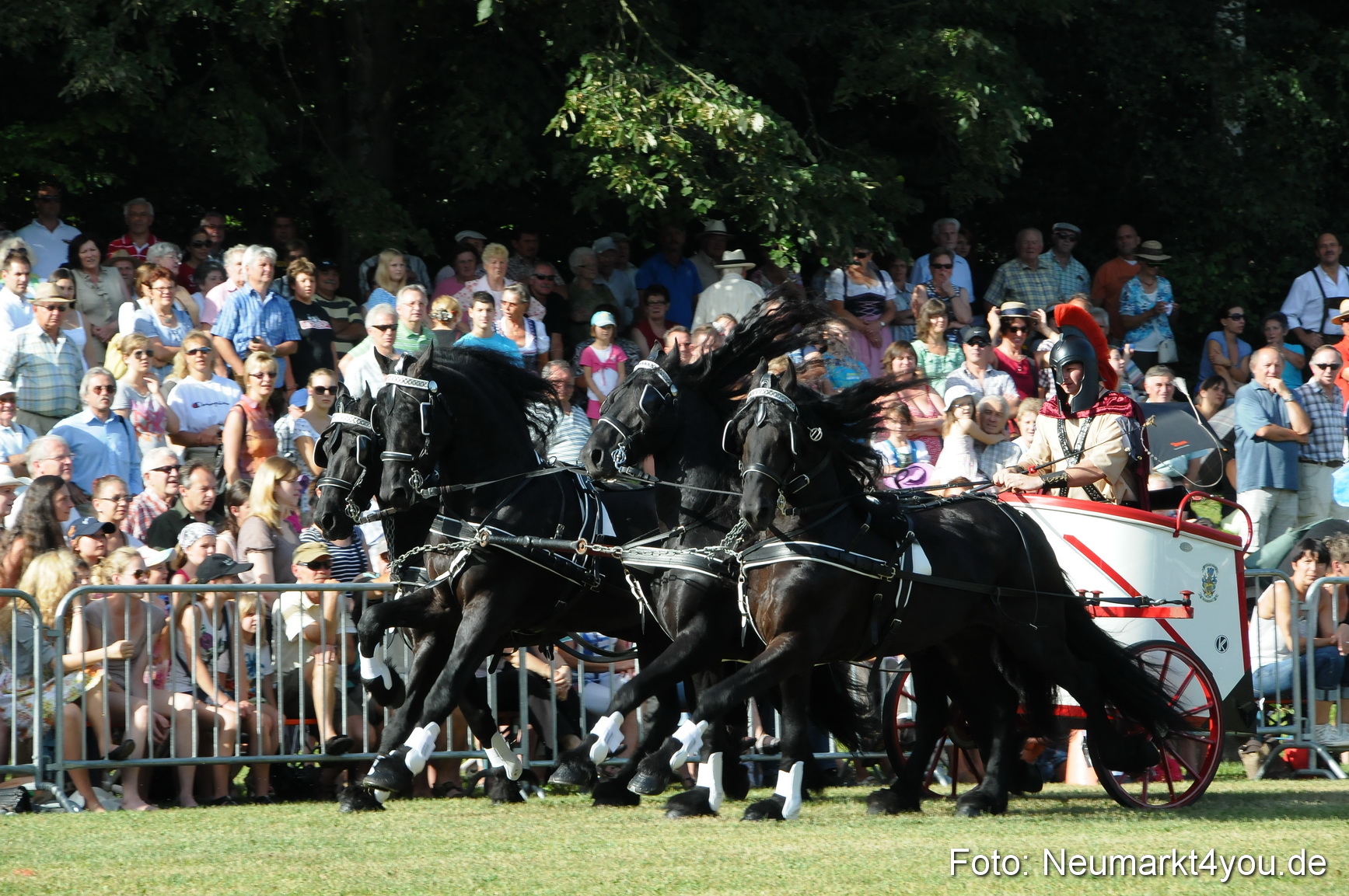 Pferde Fohlenschau 200812 0039