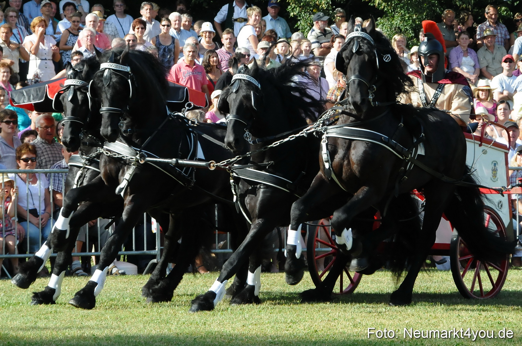 Pferde Fohlenschau 200812 0040