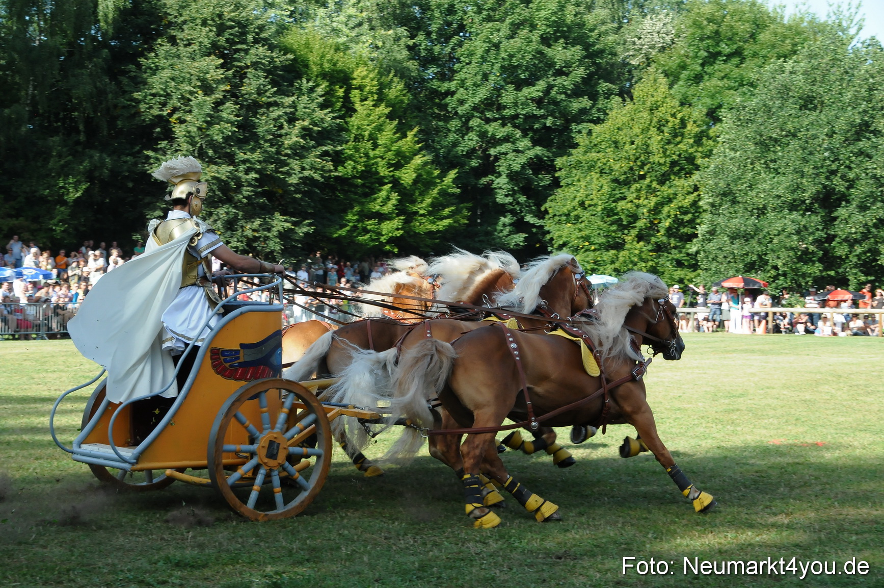 Pferde Fohlenschau 200812 0045