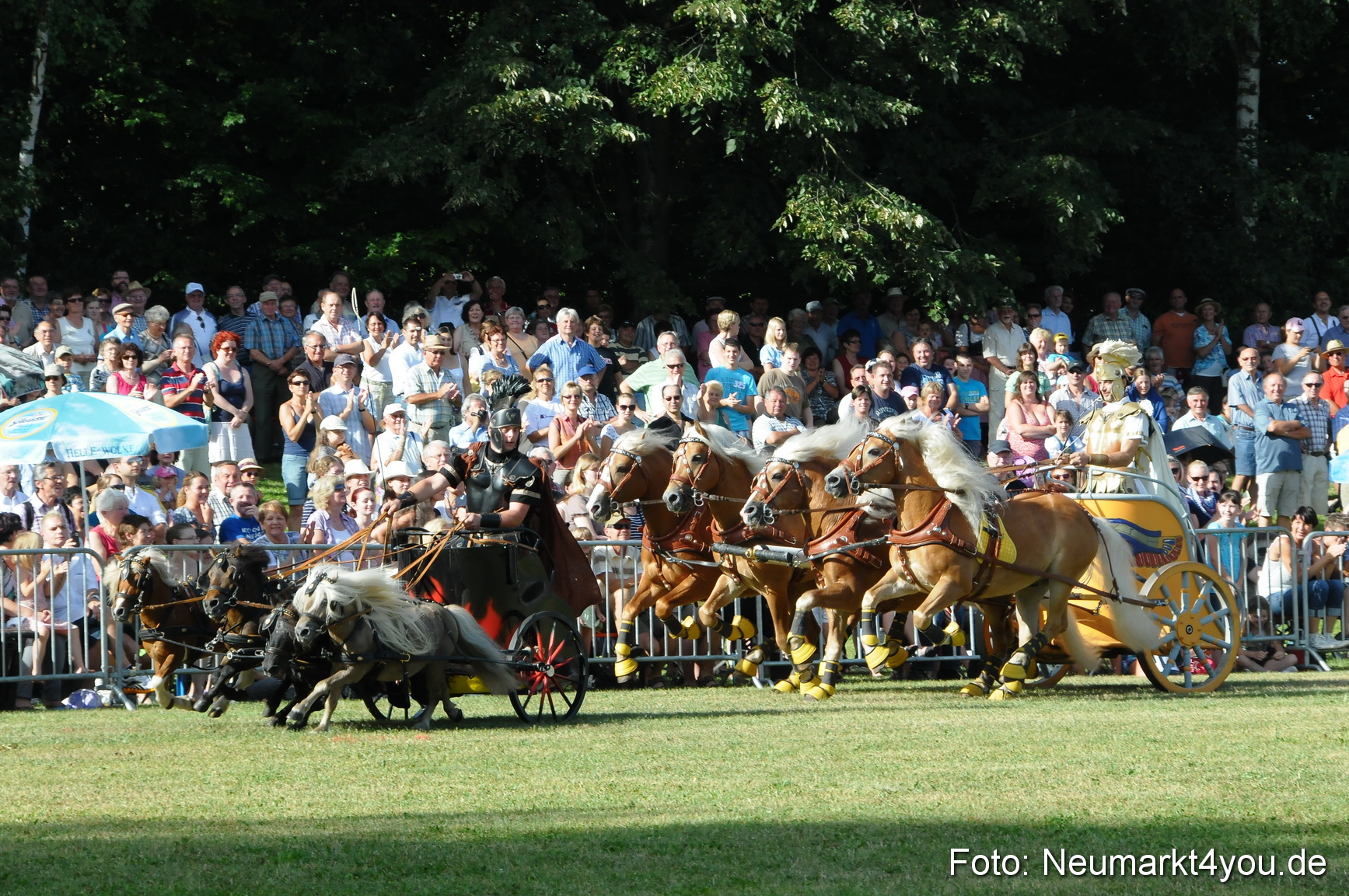 Pferde Fohlenschau 200812 0046