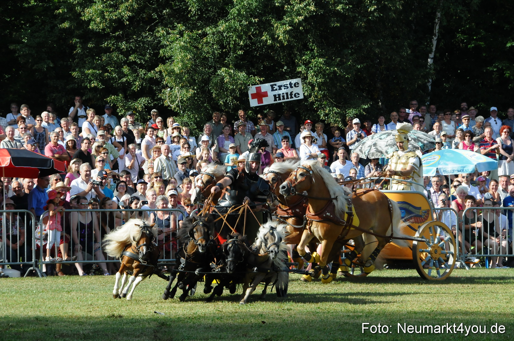 Pferde Fohlenschau 200812 0047