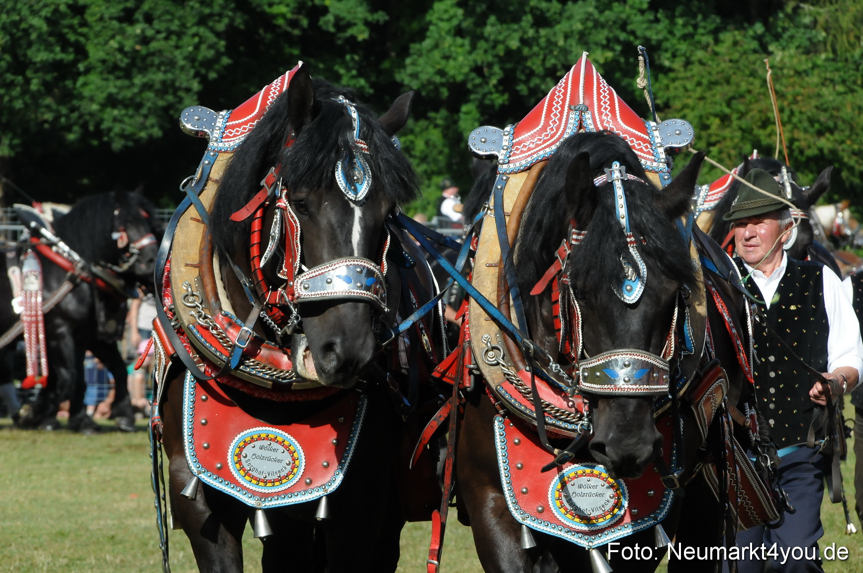 Pferde Fohlenschau 200812 0061