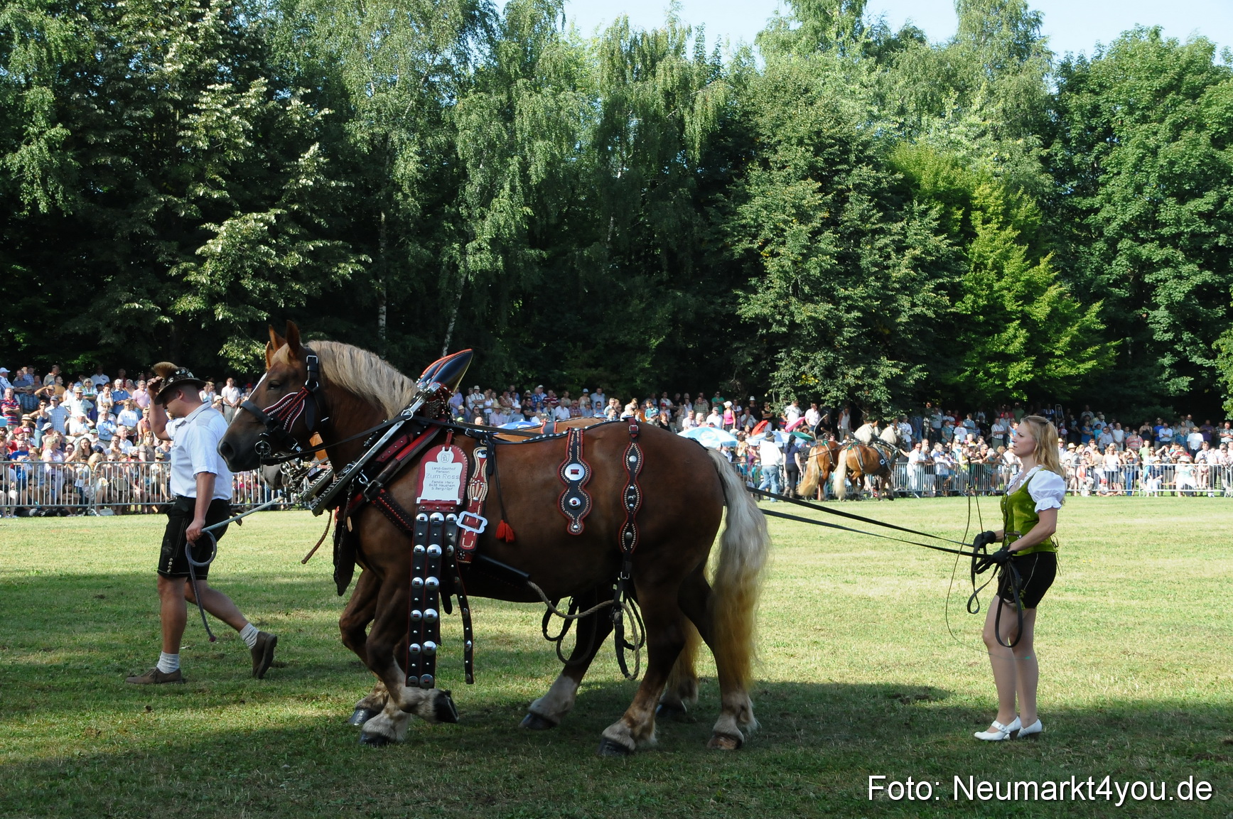 Pferde Fohlenschau 200812 0081