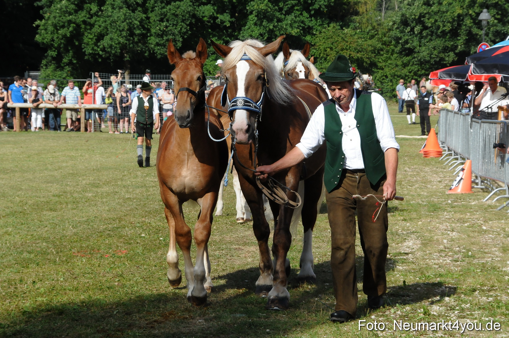 Pferde Fohlenschau 200812 0090