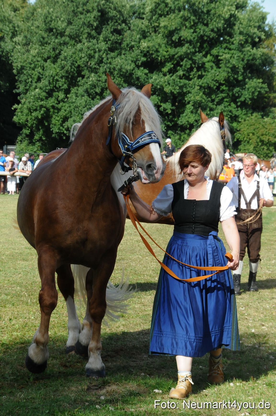 Pferde Fohlenschau 200812 0092