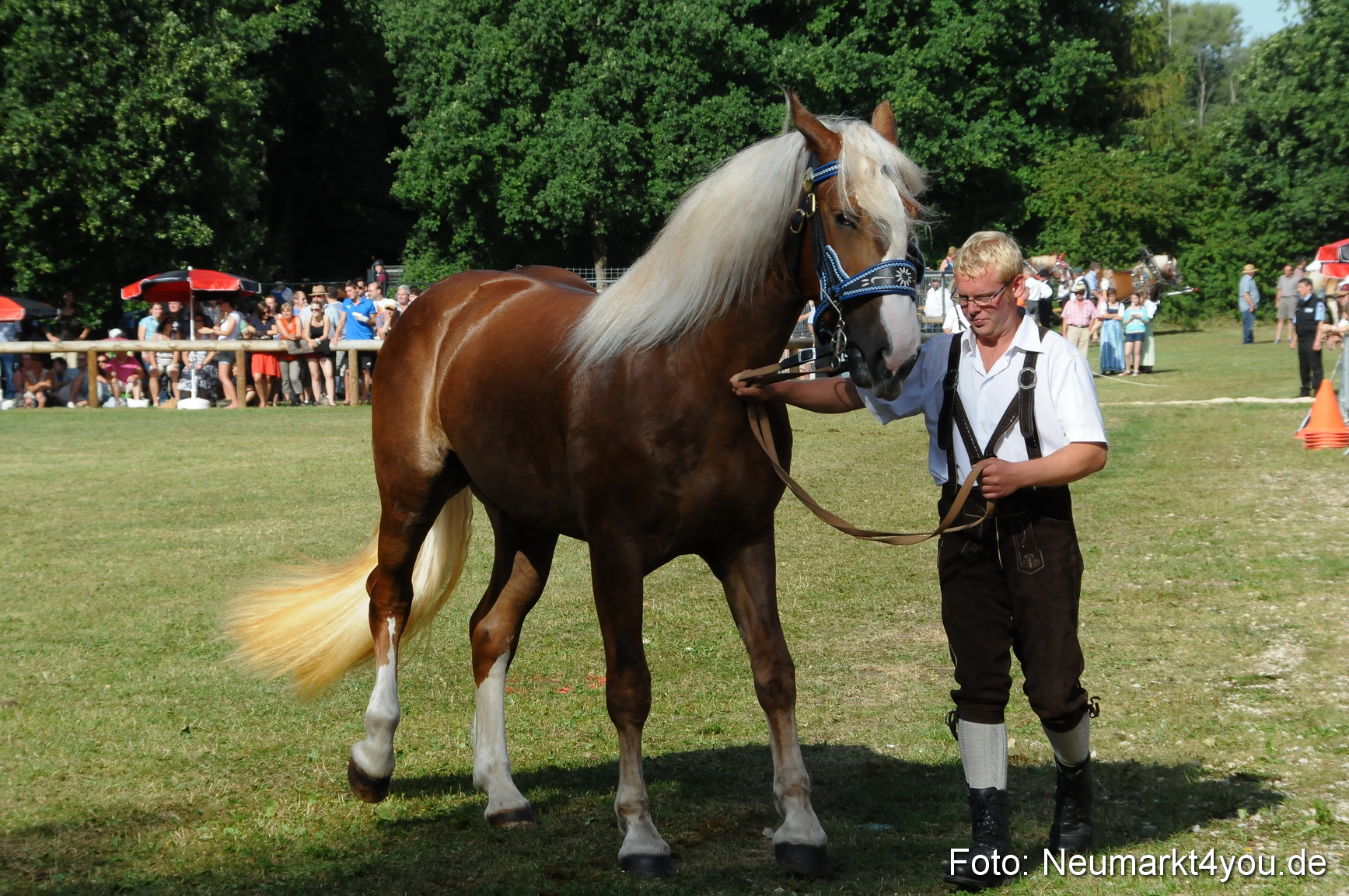 Pferde Fohlenschau 200812 0093
