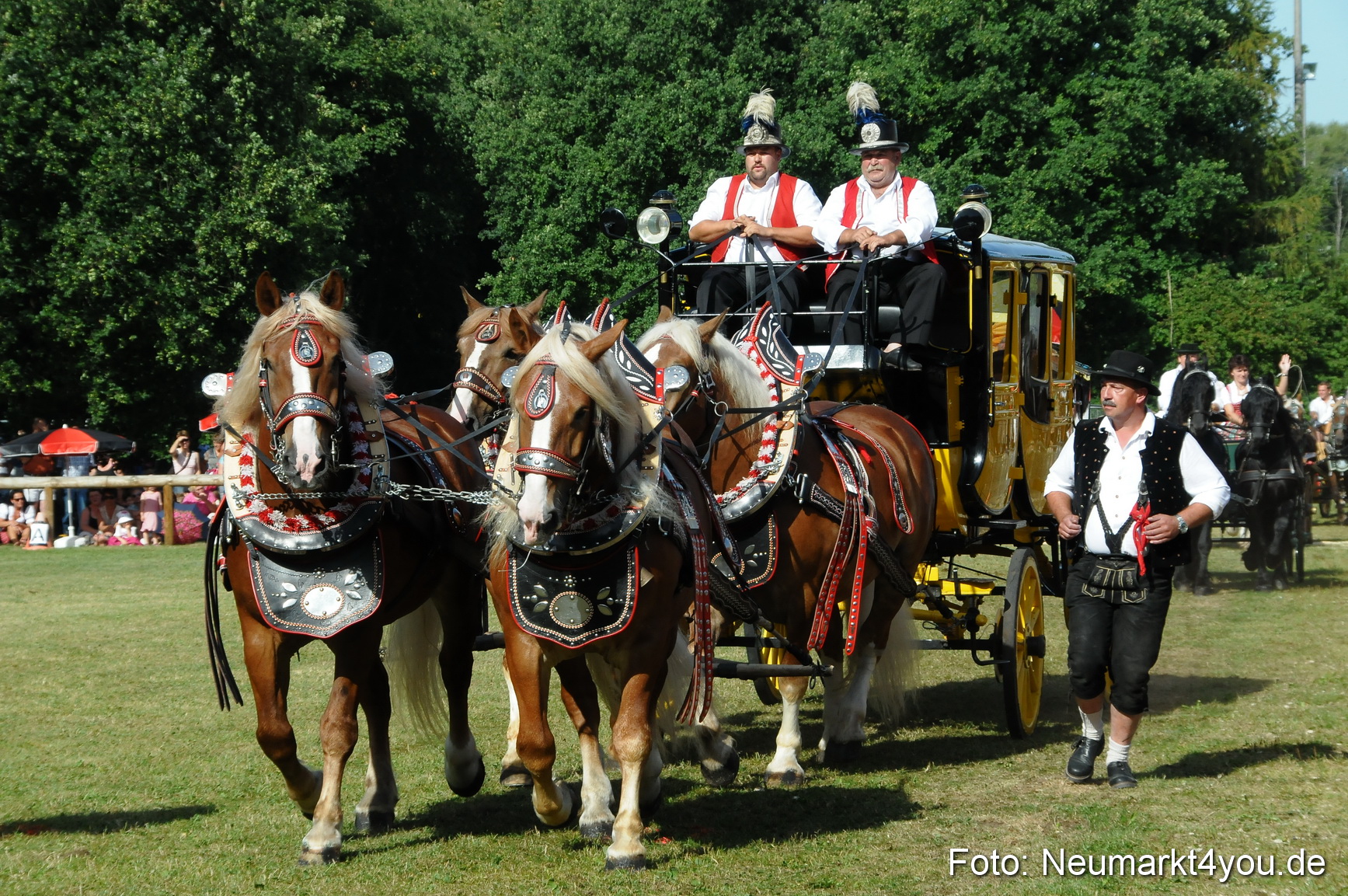 Pferde Fohlenschau 200812 0100