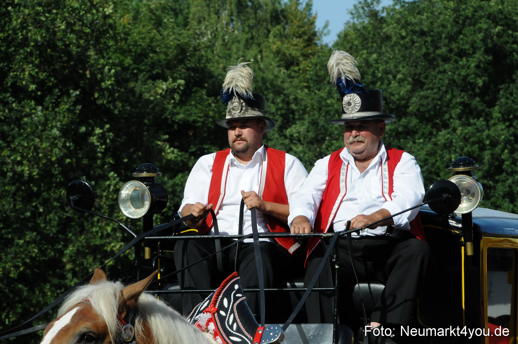 Pferde Fohlenschau 200812 0101