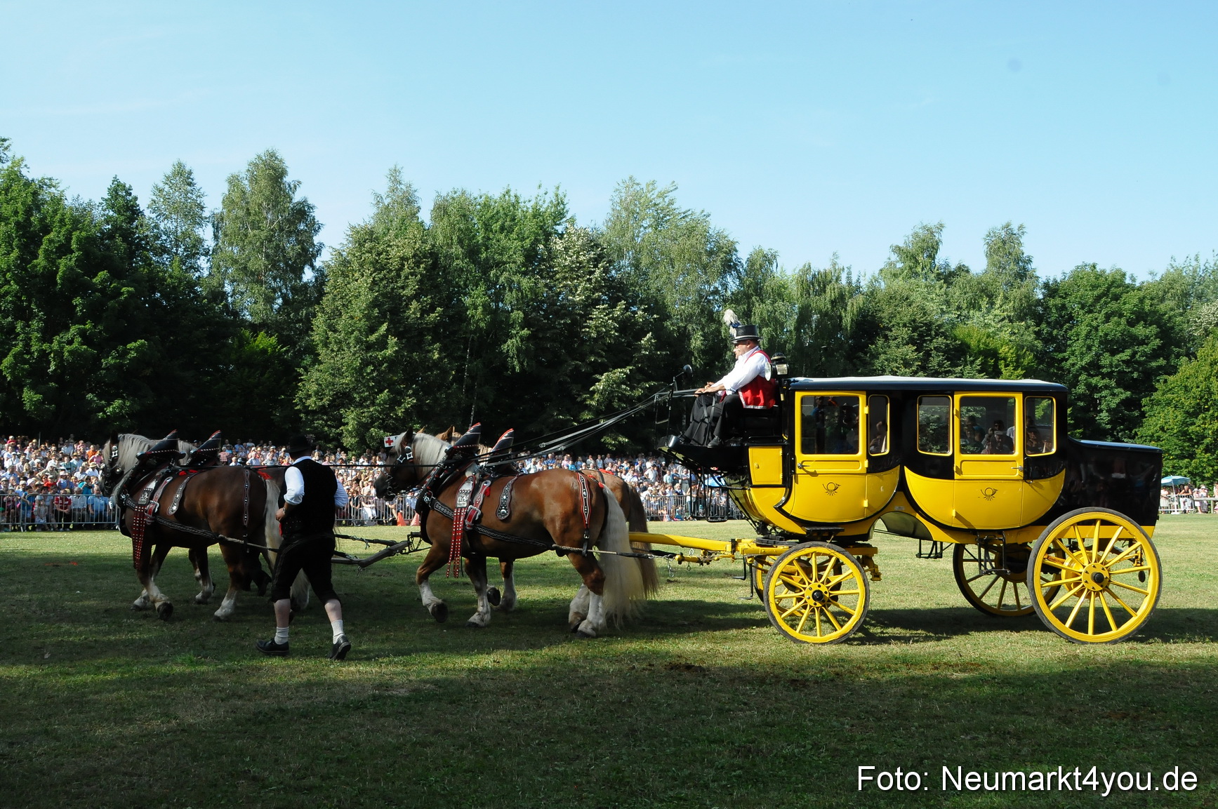 Pferde Fohlenschau 200812 0102