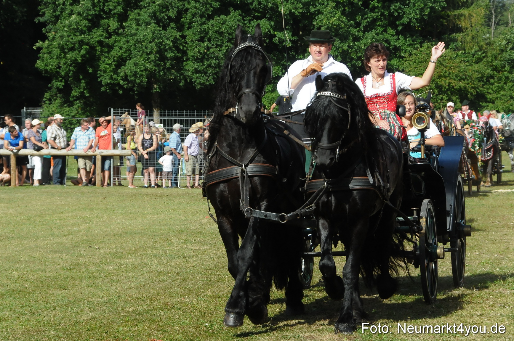 Pferde Fohlenschau 200812 0103