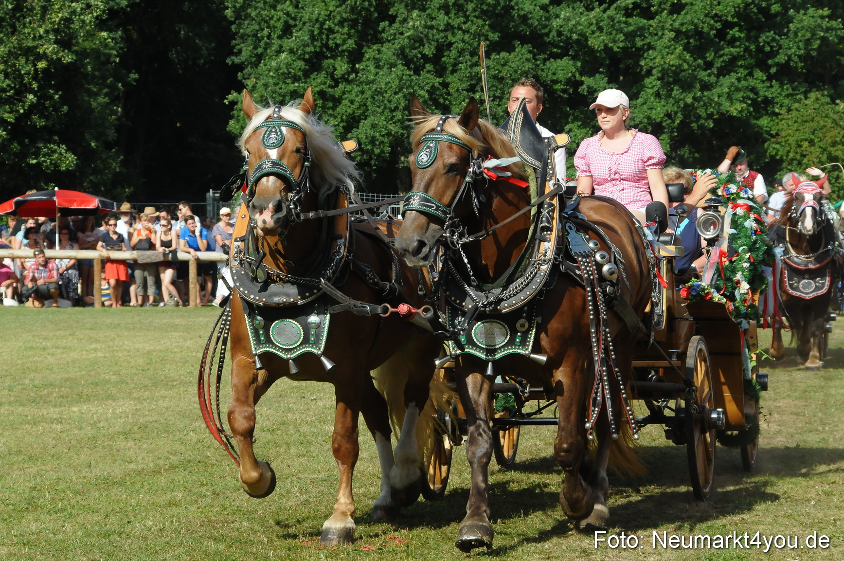 Pferde Fohlenschau 200812 0104
