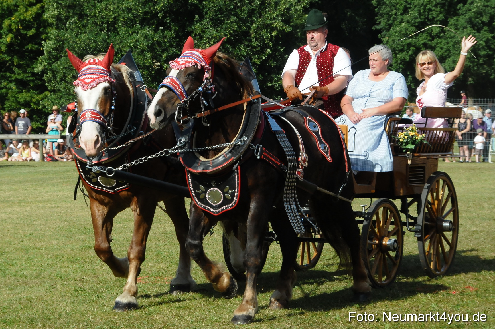 Pferde Fohlenschau 200812 0106