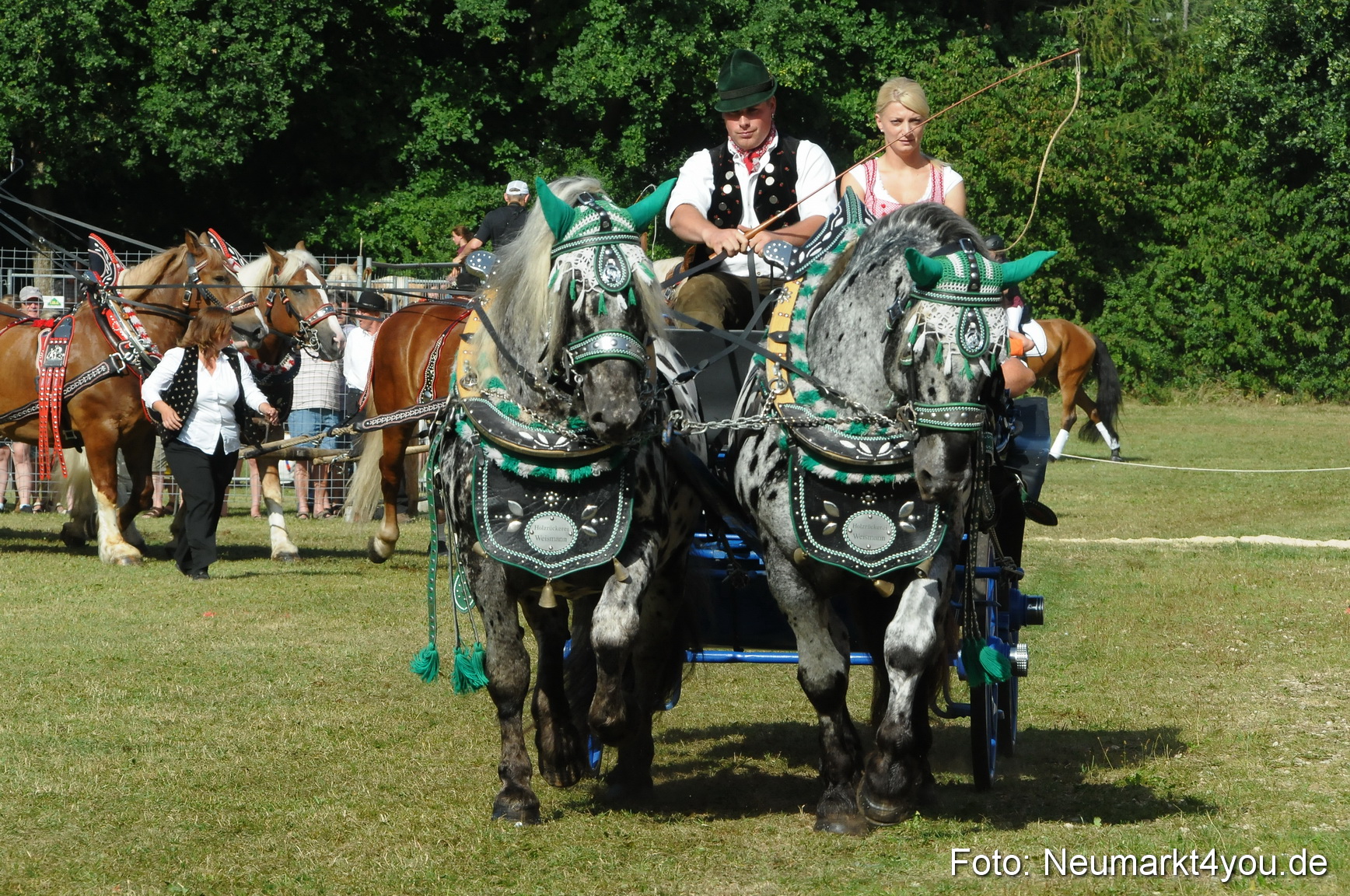 Pferde Fohlenschau 200812 0107